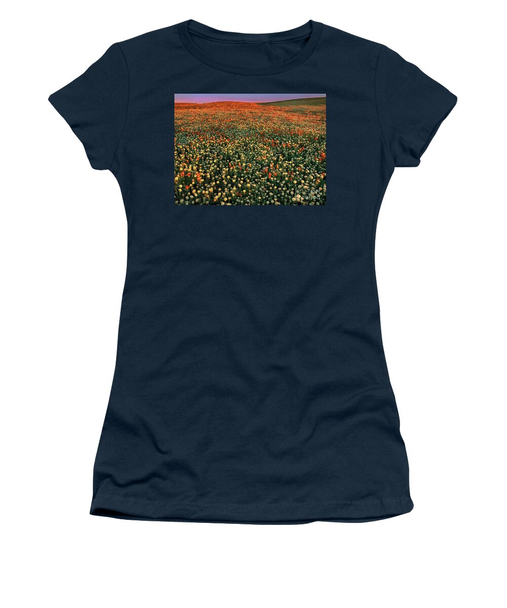 California Poppies Women's T-Shirt featuring the photograph California Poppies at Dawn Lancaster California by Dave Welling