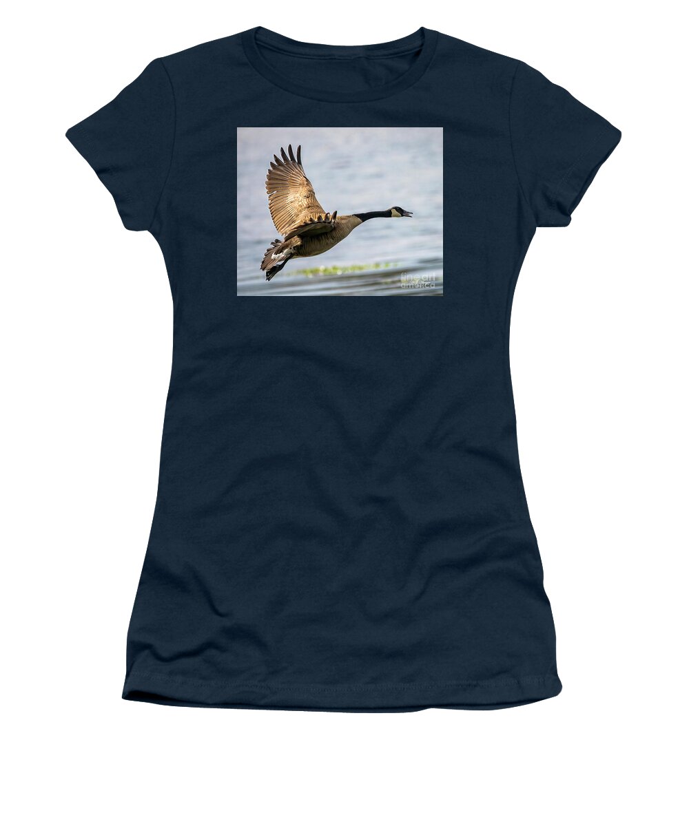 Goose Women's T-Shirt featuring the photograph Canada Goose In Flight by DB Hayes