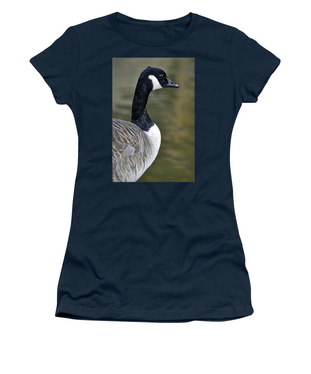 Bird Women's T-Shirt featuring the photograph Canada Goose Portrait by Rod Johnson