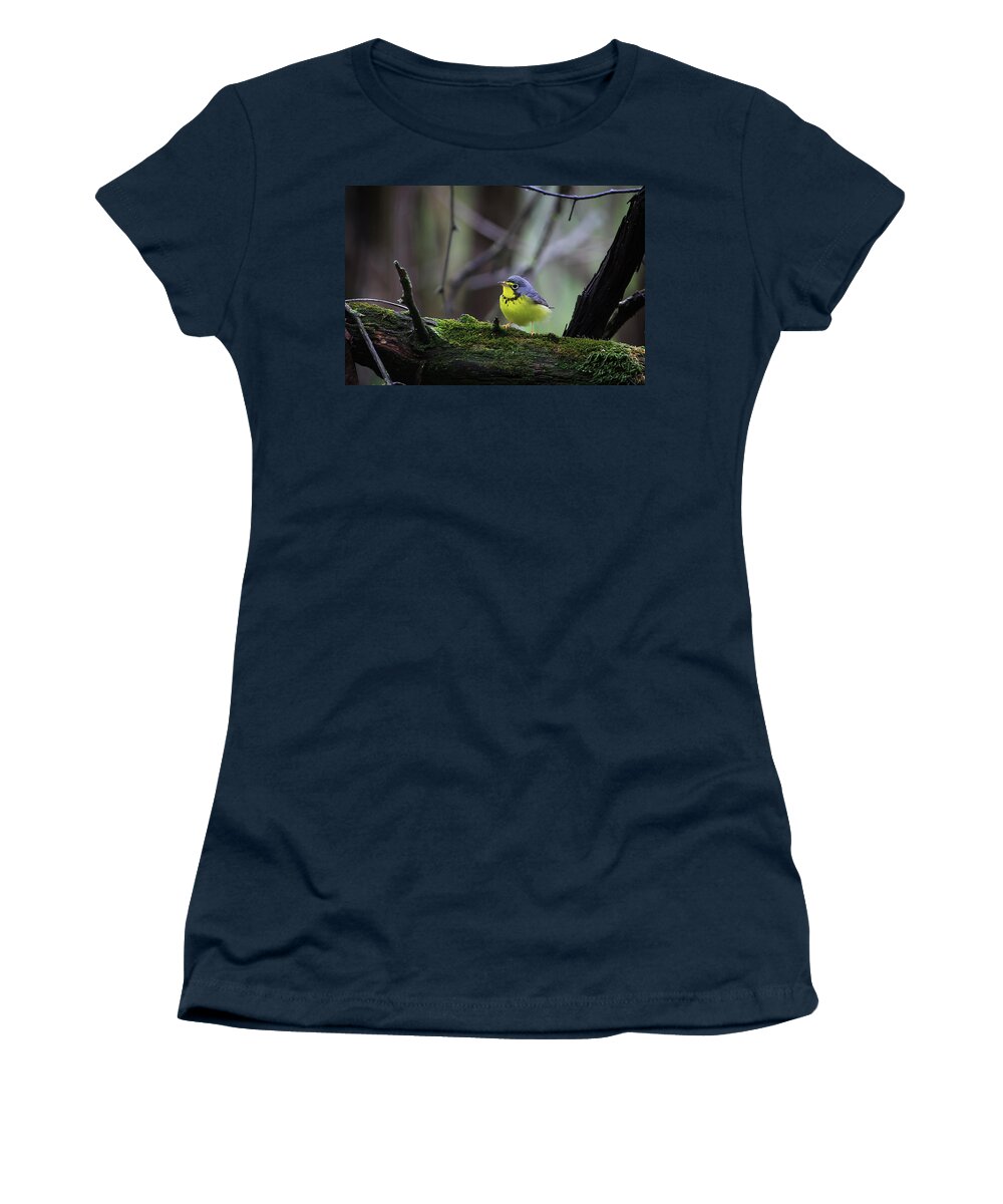 Necklace Women's T-Shirt featuring the photograph Canada Warbler by Gary Hall
