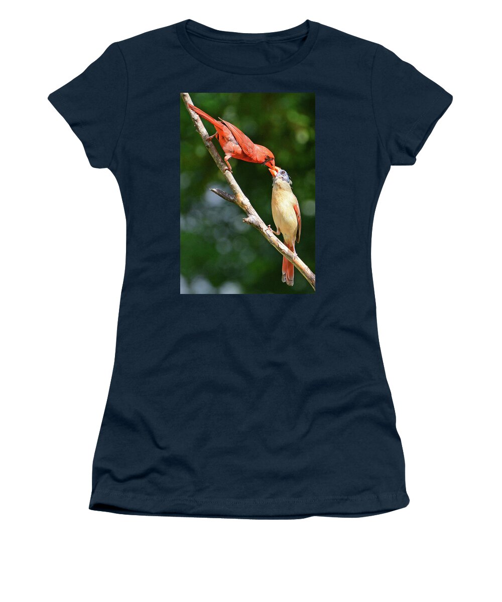 Cardinal Women's T-Shirt featuring the photograph Cardinal Feeding the Youngster by Ted Keller