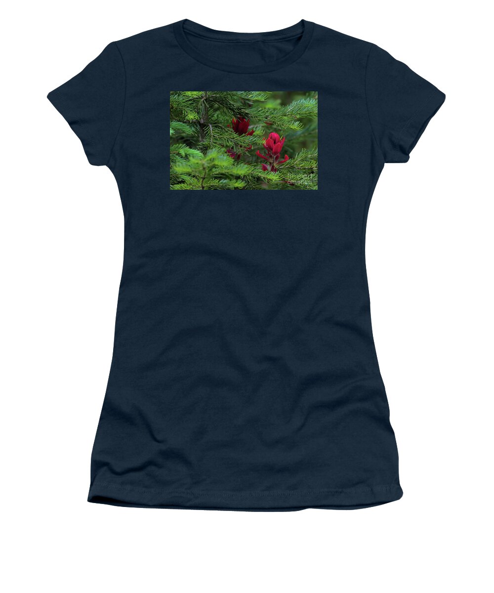 Red Flower Women's T-Shirt featuring the photograph Cardinal Rules by Jim Garrison