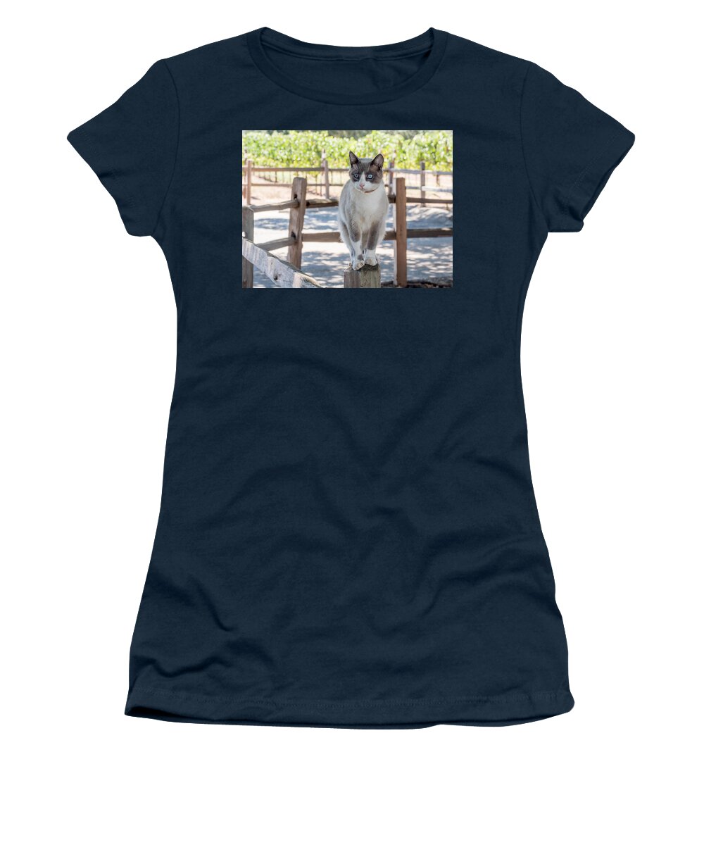 Cat Women's T-Shirt featuring the photograph Cat on a Wooden Fence Post by Derek Dean