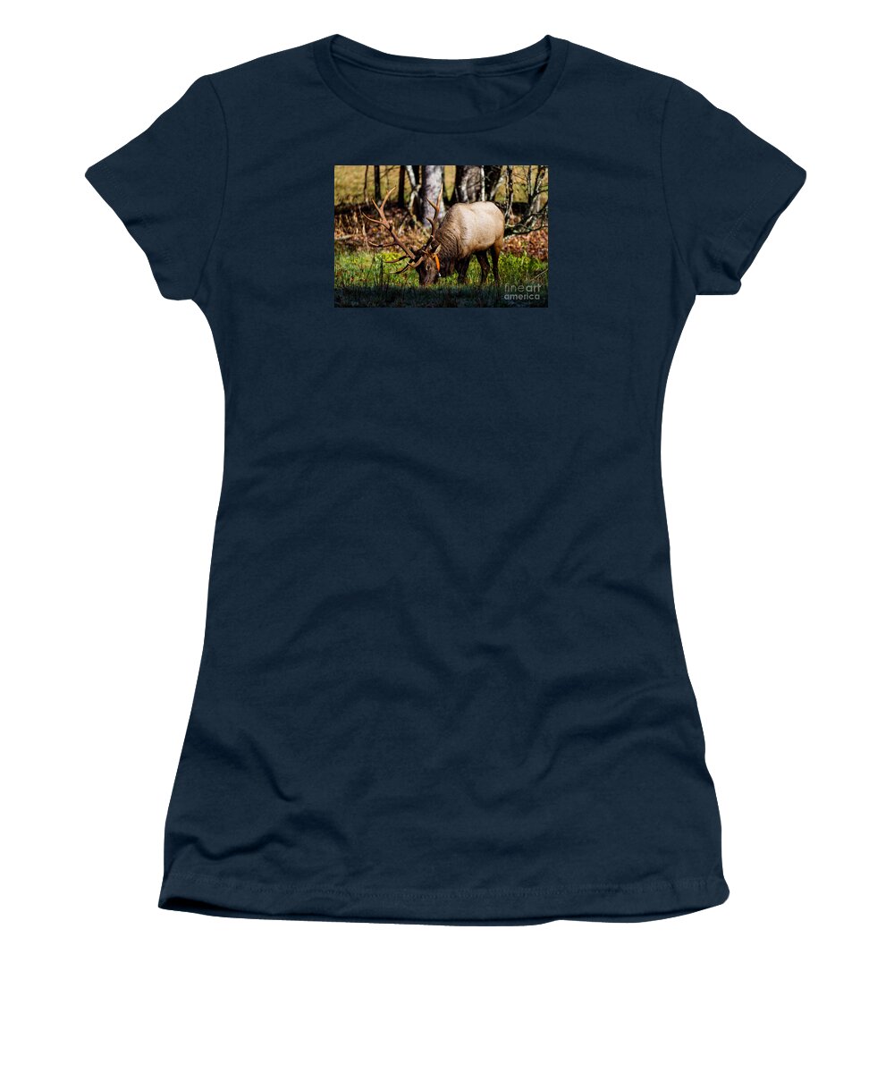 Elk Women's T-Shirt featuring the photograph Cataloochee Elk Bull by Paul Mashburn