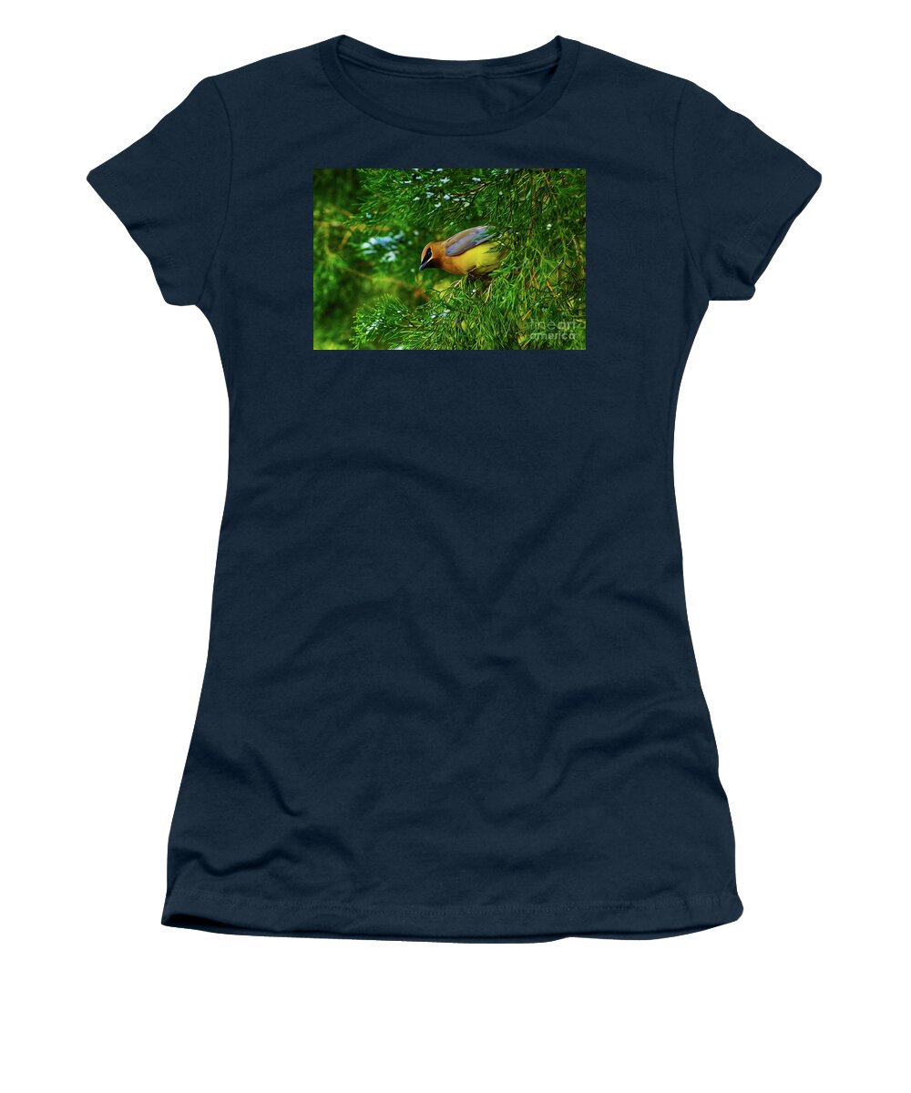 Birds Women's T-Shirt featuring the digital art Cedar Waxwing Beauties 8 by Kim Pate