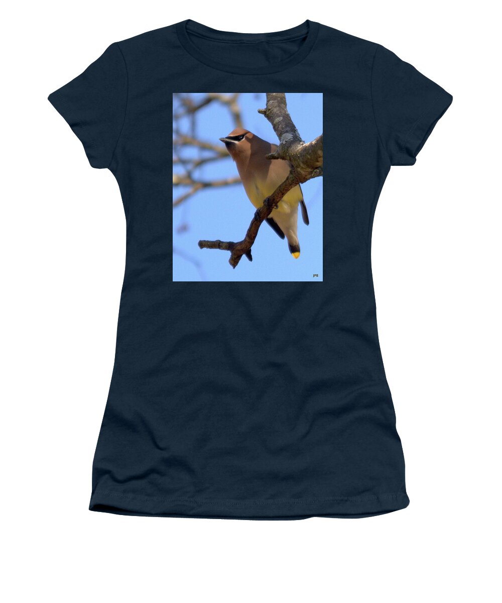 Wildlife Women's T-Shirt featuring the photograph Cedar Waxwing by John Benedict