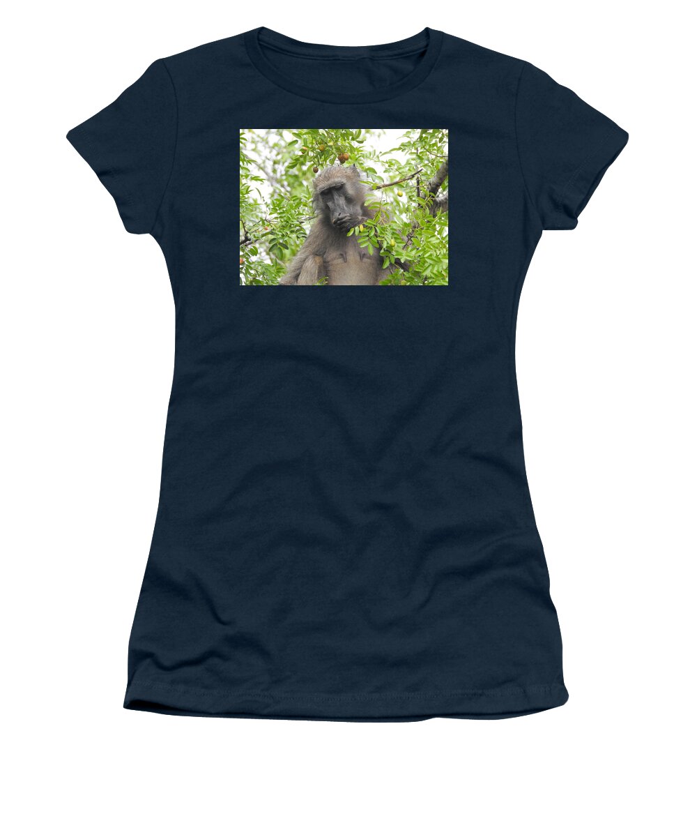Baboon Women's T-Shirt featuring the photograph Chacma Baboon by Betty-Anne McDonald