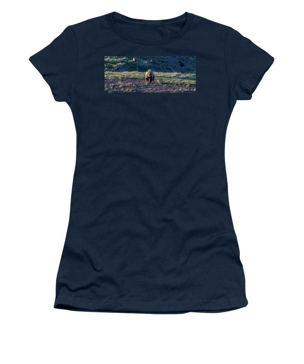 Grizzly Bear Women's T-Shirt featuring the photograph Charging Grizzly by Mark Miller