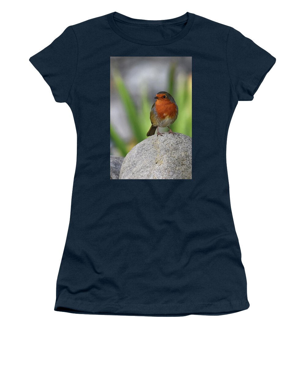 Robin Women's T-Shirt featuring the photograph Cheeky Chappy by Kuni Photography