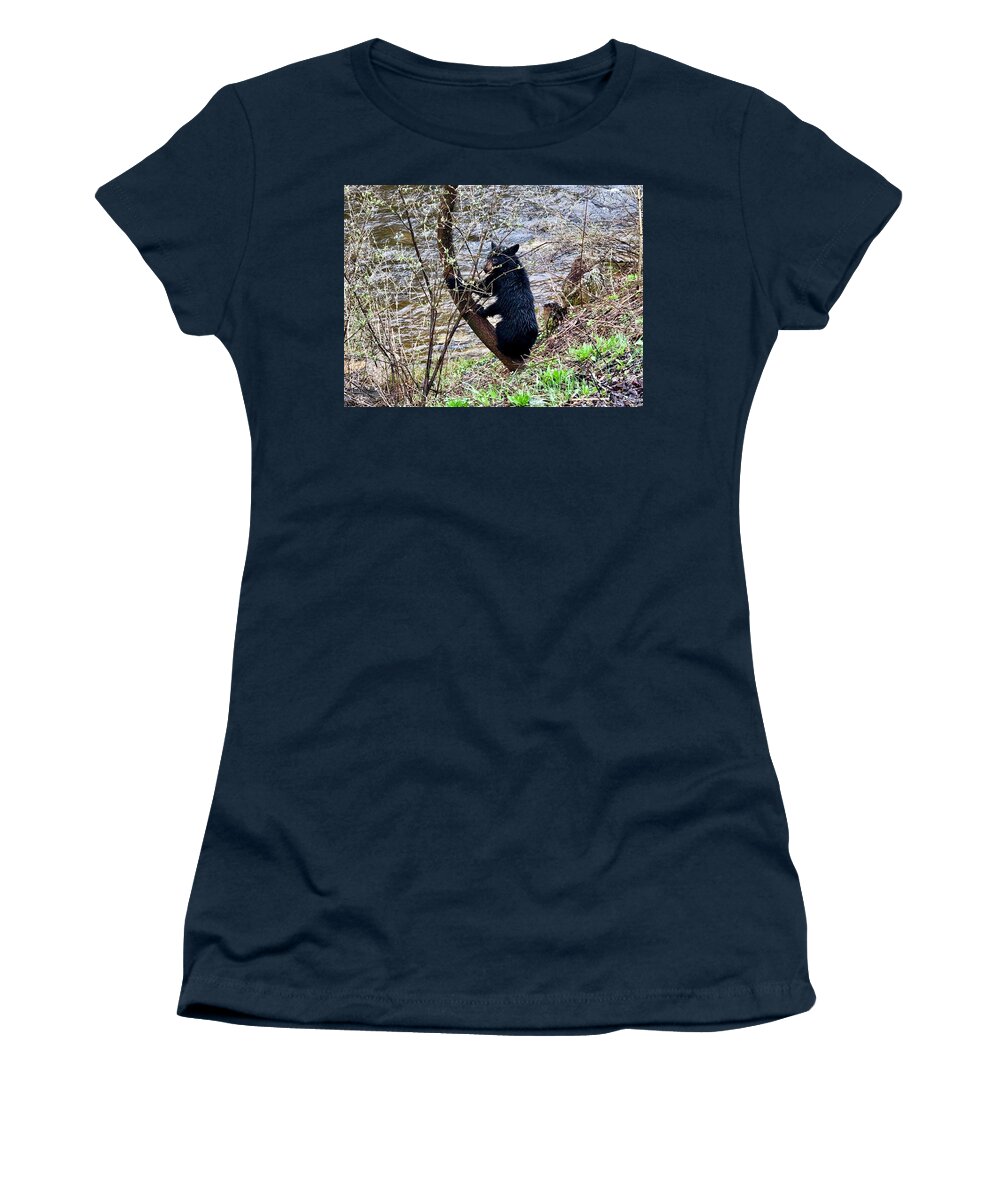 Bear Women's T-Shirt featuring the photograph Cherry River Black Bear by Chris Berrier