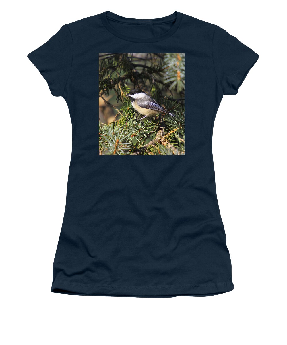 Additional Tags: Women's T-Shirt featuring the photograph Chickadee-9 by Robert Pearson