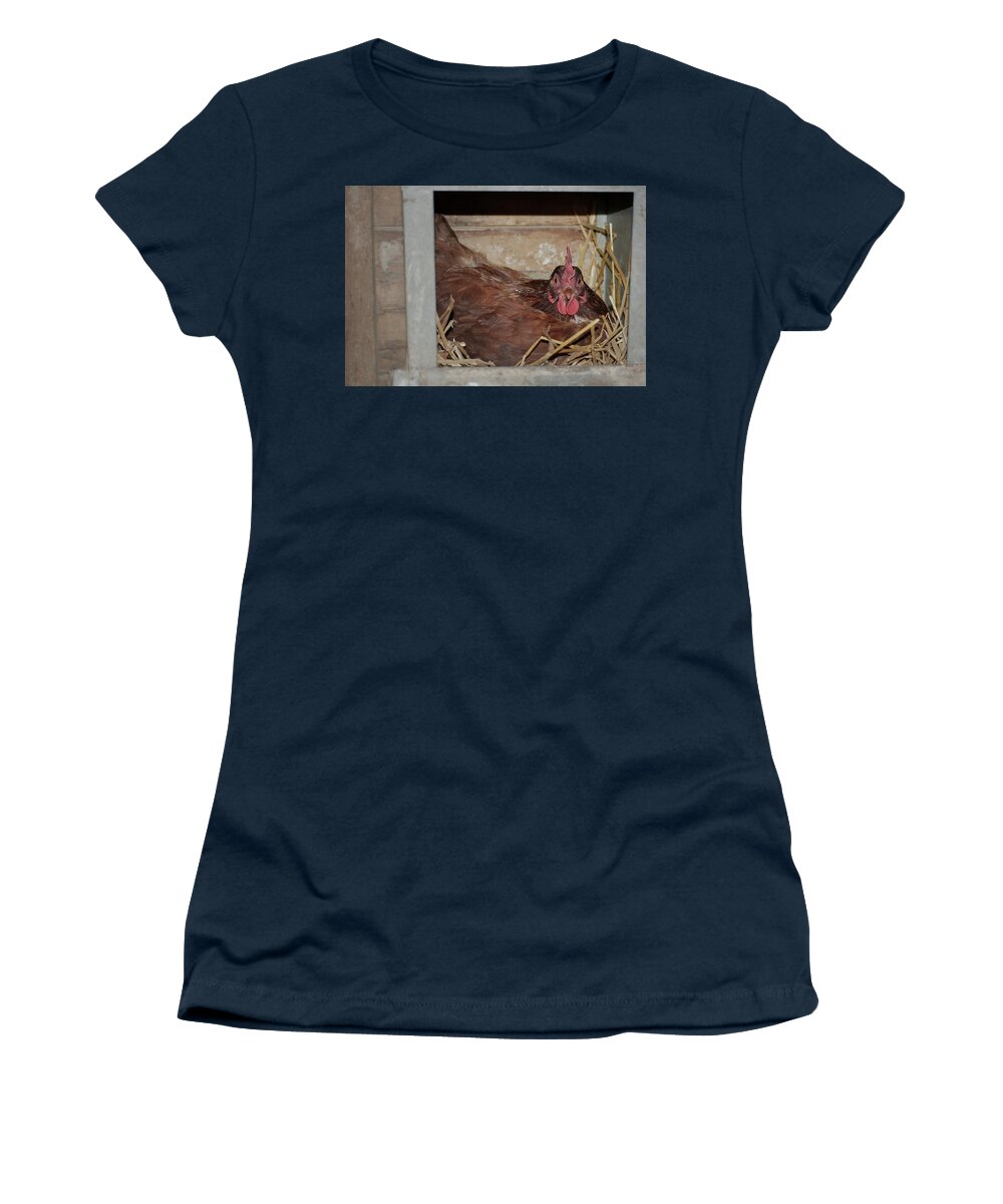 Chicken Women's T-Shirt featuring the photograph Chicken Box by Troy Stapek