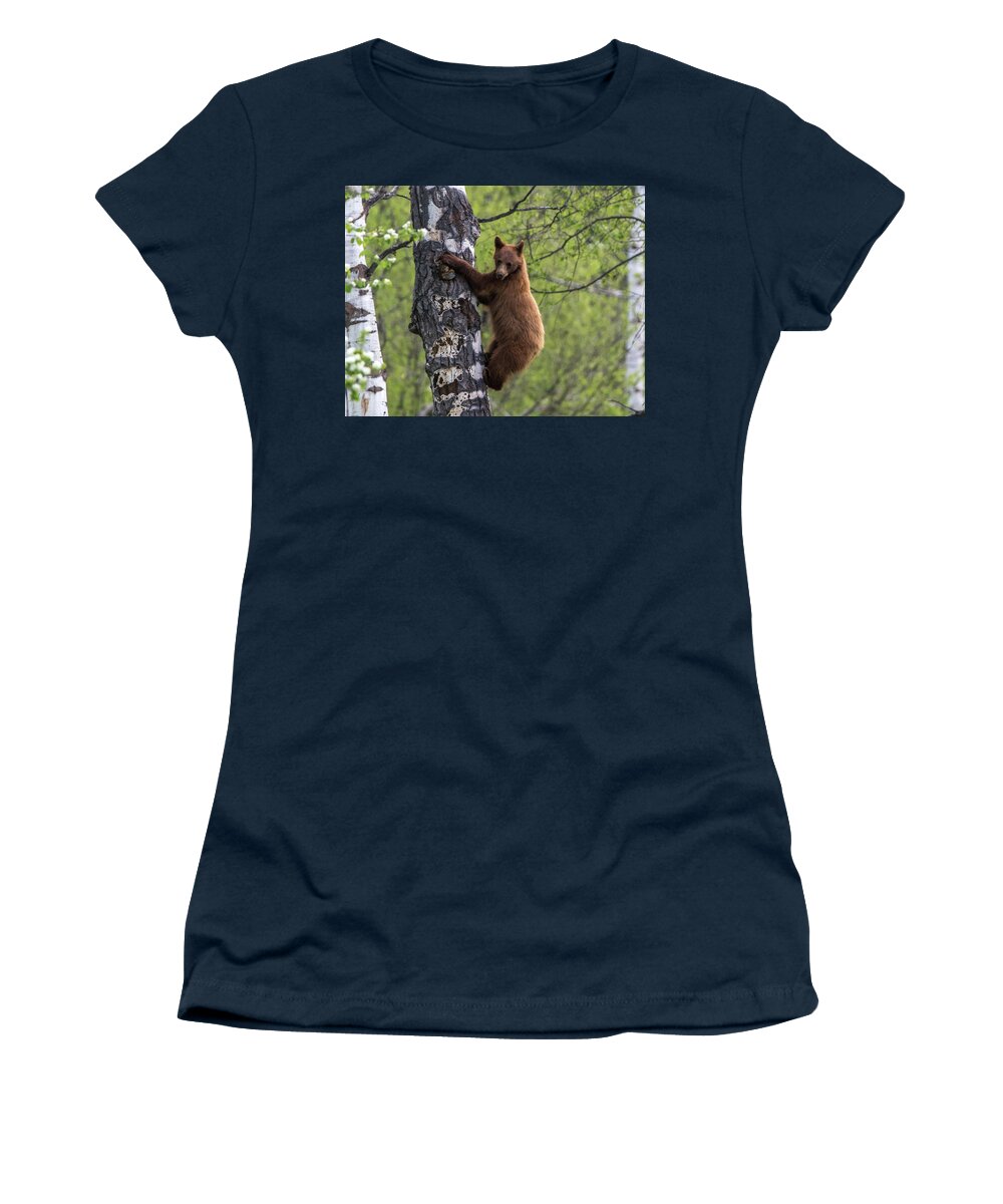 Bear Women's T-Shirt featuring the photograph Cinnamon Climb by Kevin Dietrich