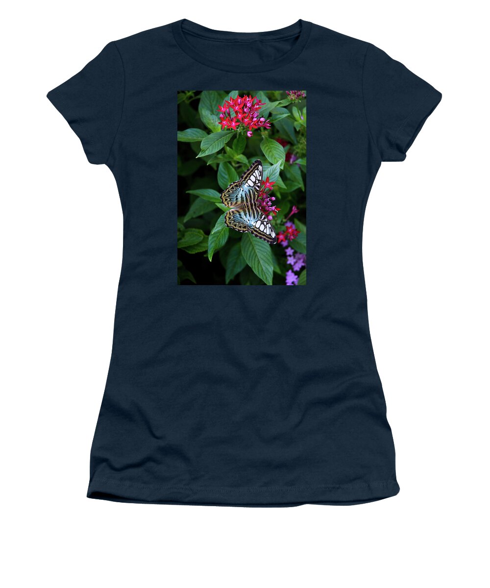 Butterfly Women's T-Shirt featuring the photograph Clipper Butterfly on Star Flower by Marie Hicks