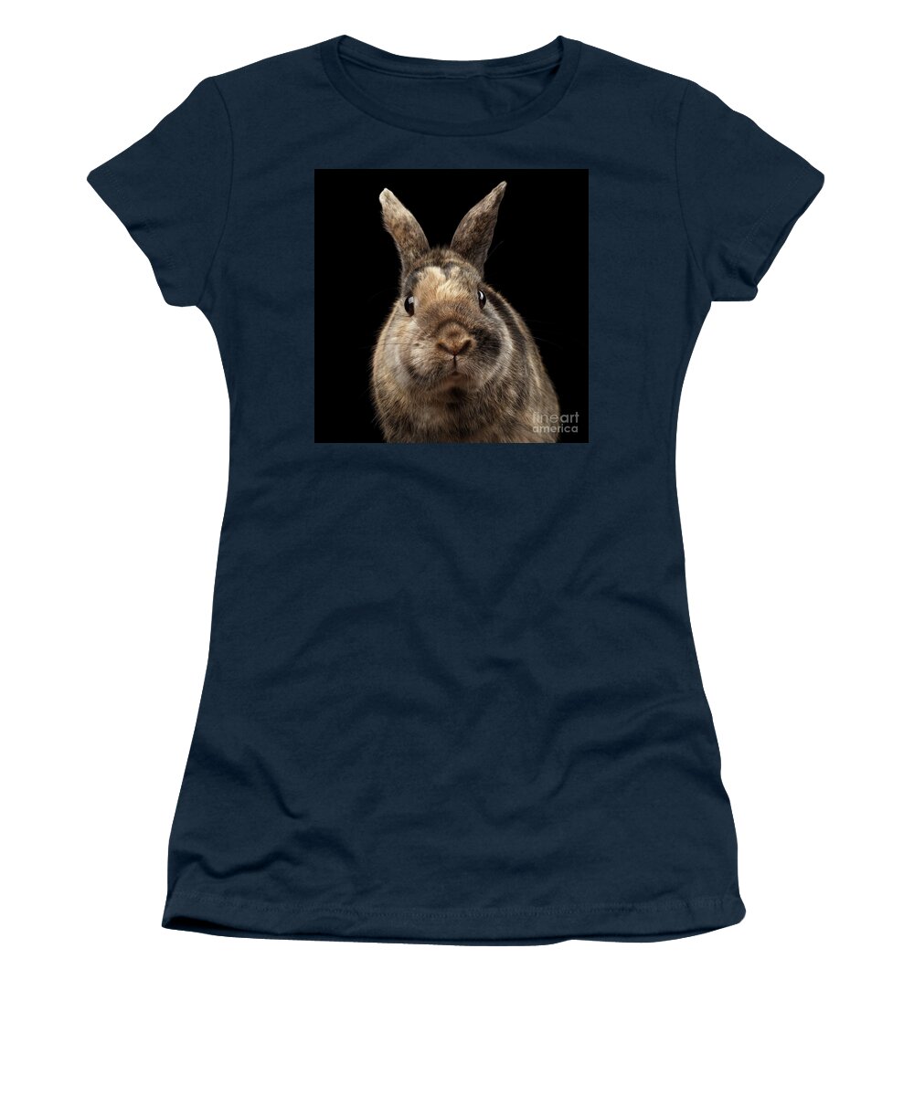 #faatoppicks Women's T-Shirt featuring the photograph Closeup Funny Little rabbit, Brown Fur, isolated on Black Backgr by Sergey Taran