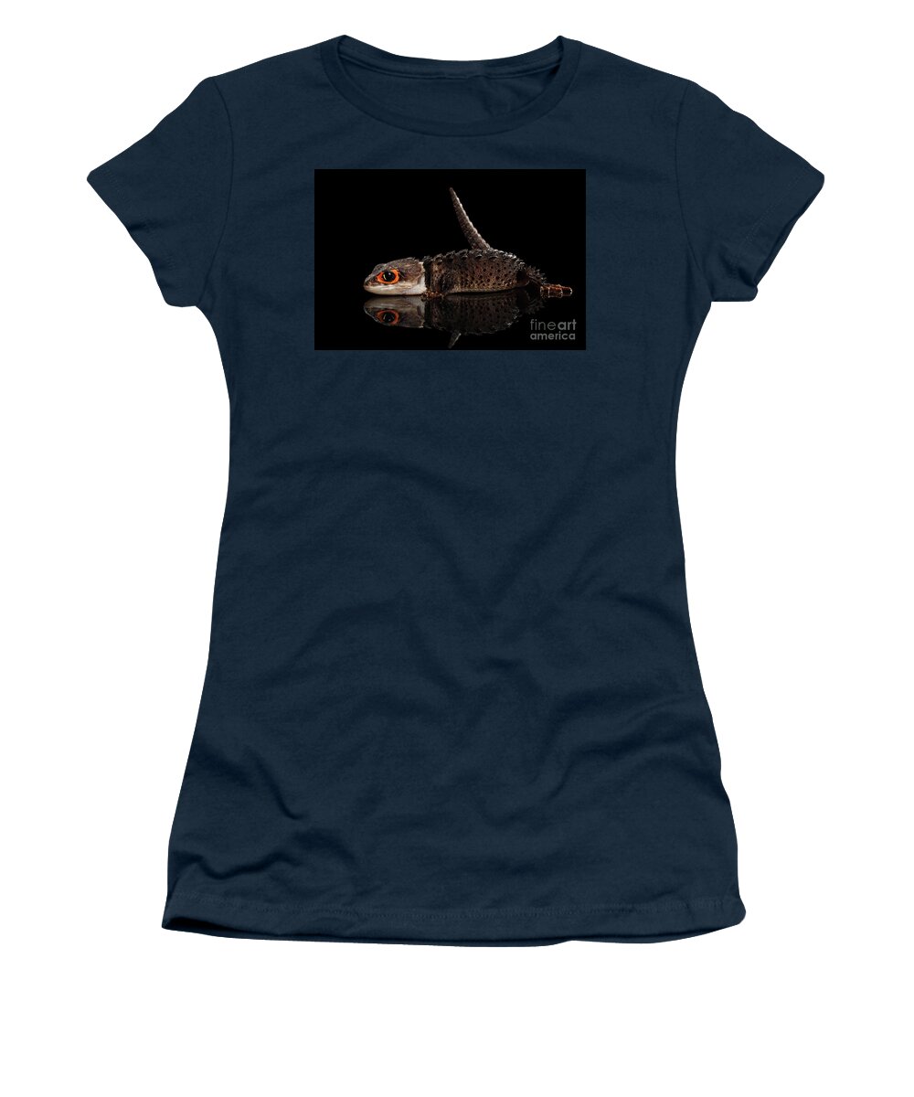 Crocodile Women's T-Shirt featuring the photograph Closeup Red-eyed crocodile skink, tribolonotus gracilis, isolated on Black background by Sergey Taran