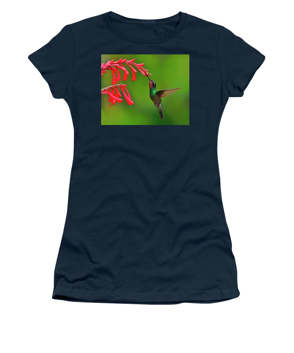 Purple-throated Mountaingem Women's T-Shirt featuring the photograph Cloud Forest Edge by Tony Beck