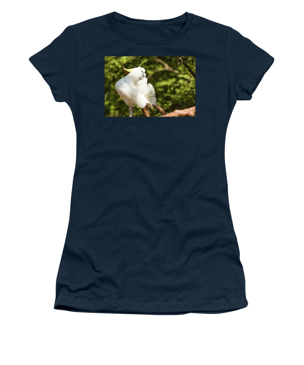 Zoo Women's T-Shirt featuring the photograph Cockatoo Preening by John Benedict