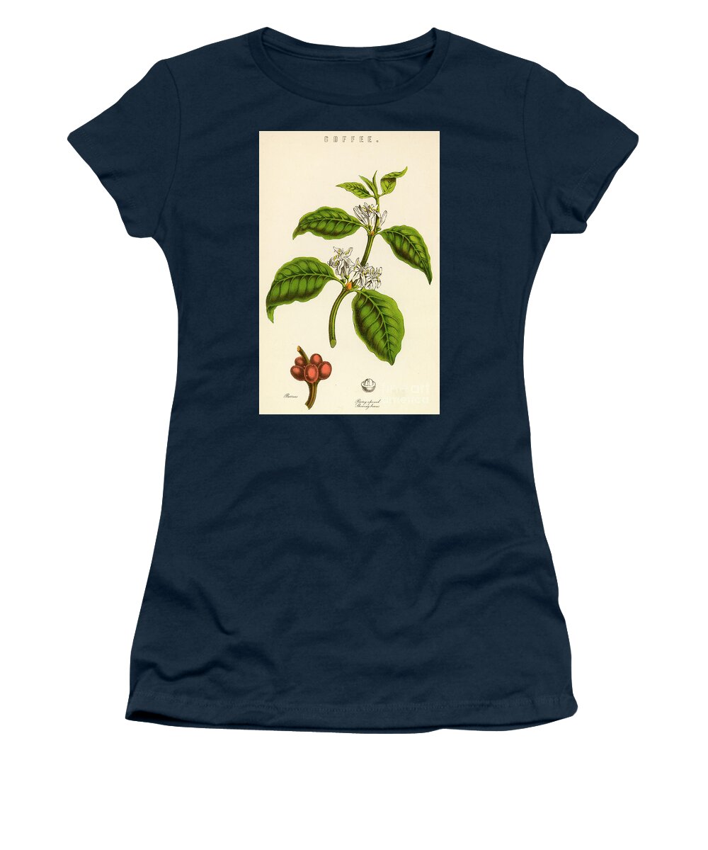 Coffee Women's T-Shirt featuring the painting Coffee by English School
