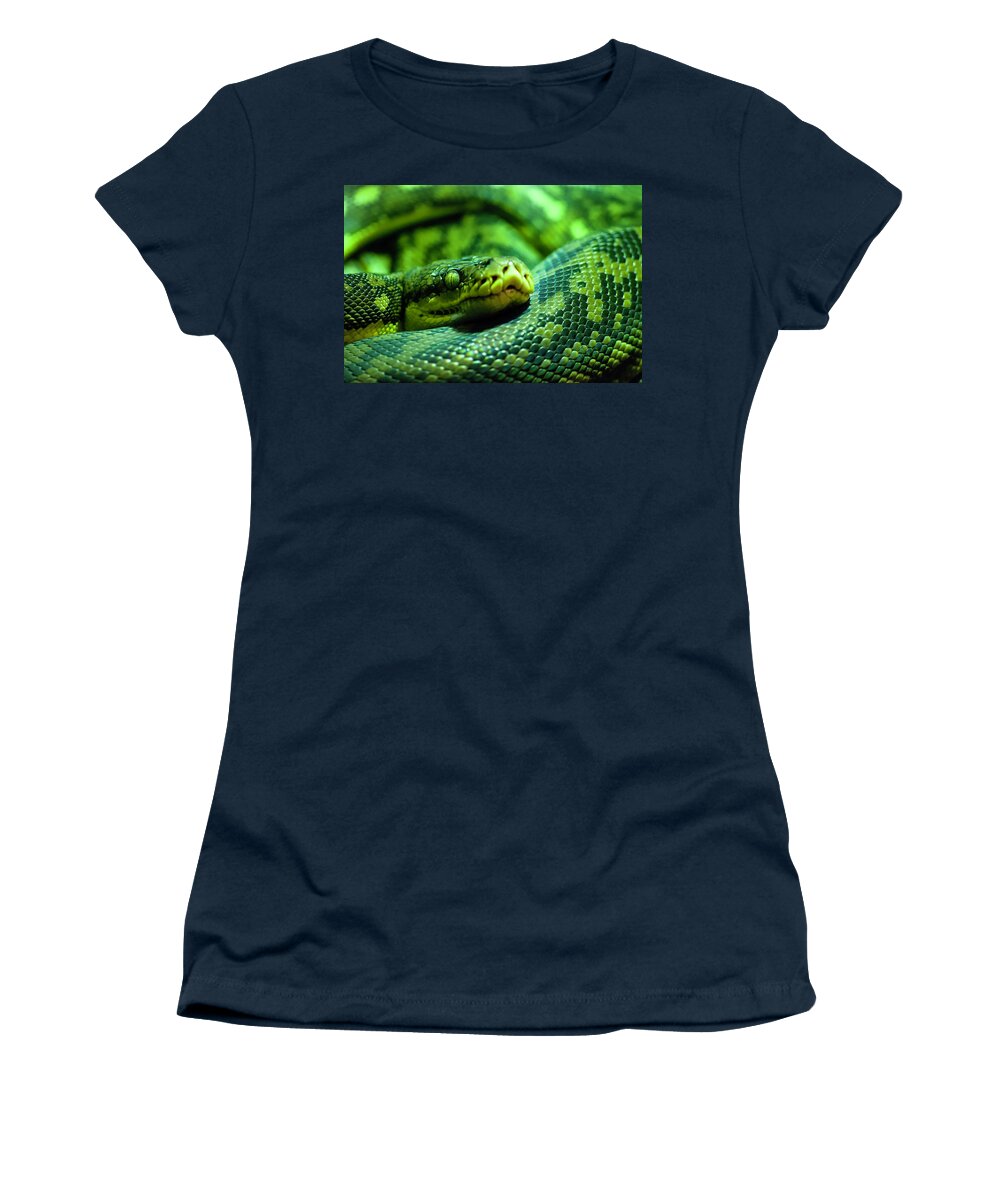 Photography Women's T-Shirt featuring the photograph Coiled Calm by Kathleen Messmer