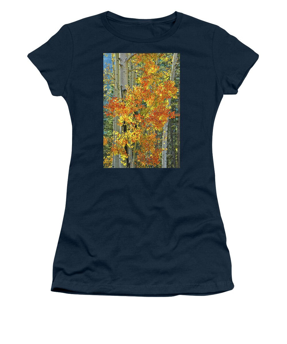 Colorado Women's T-Shirt featuring the photograph Colorful Aspen along Million Dollar Highway by Ray Mathis