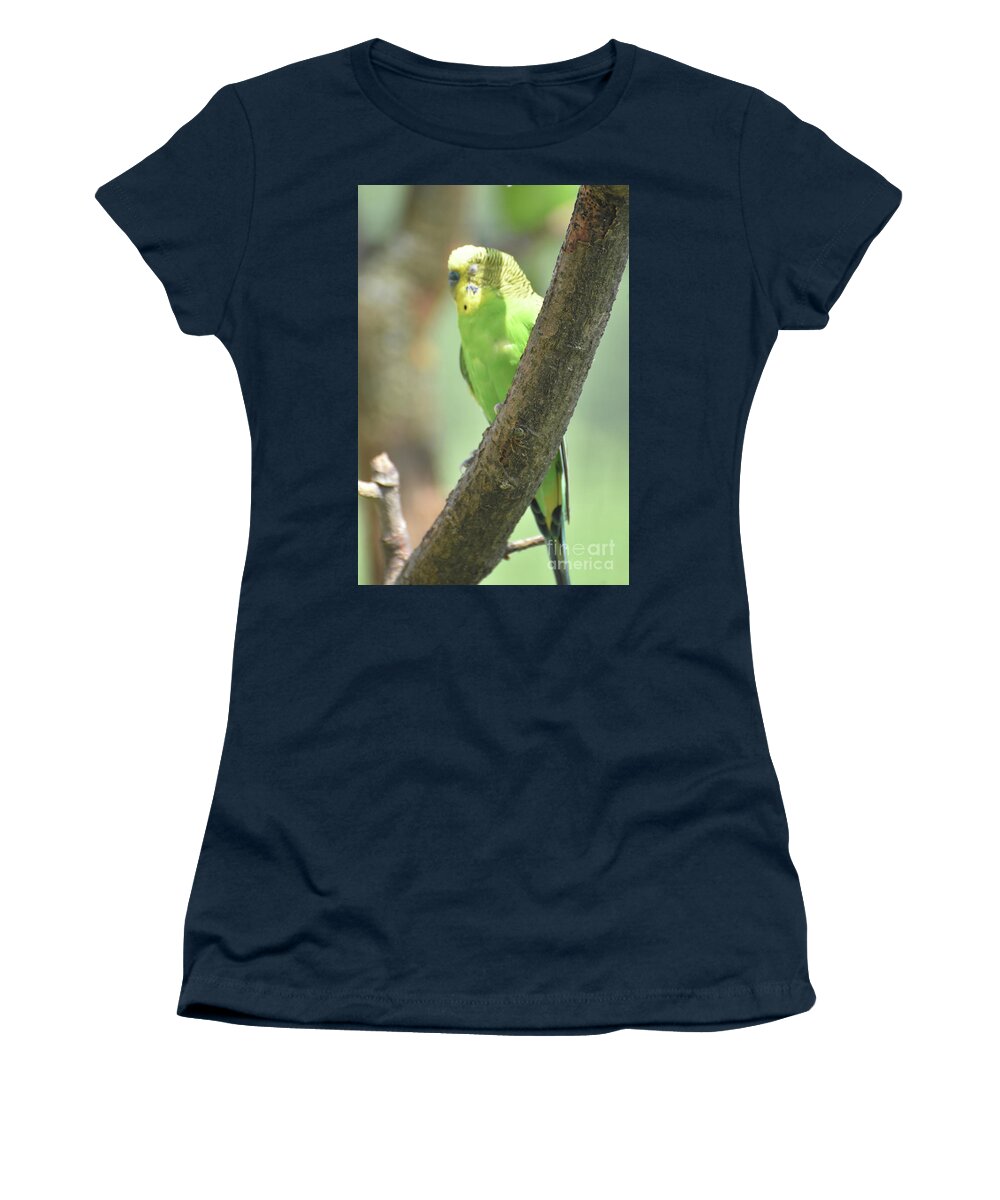 Budgie Women's T-Shirt featuring the photograph Colorful Budgie with His Eyes Closed in a Tree by DejaVu Designs