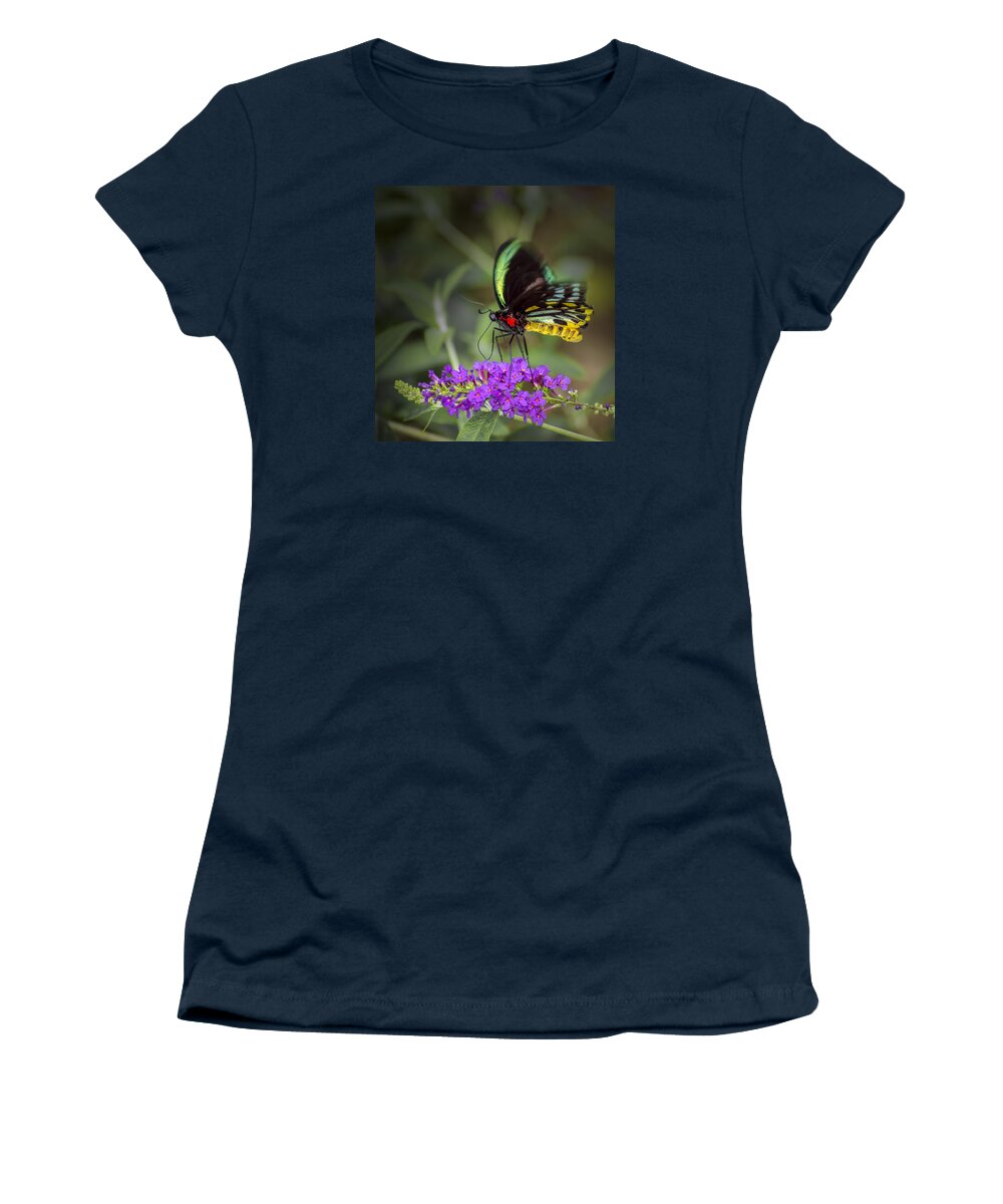  Animal Women's T-Shirt featuring the photograph Colorful Northern Butterfly by Penny Lisowski
