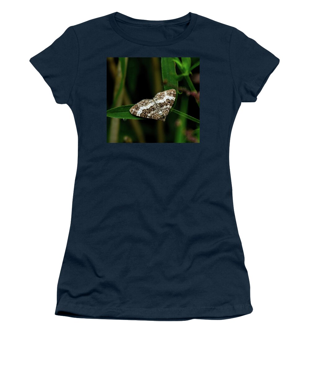 Moth Women's T-Shirt featuring the photograph Common Carpet Moth by Jeff Townsend