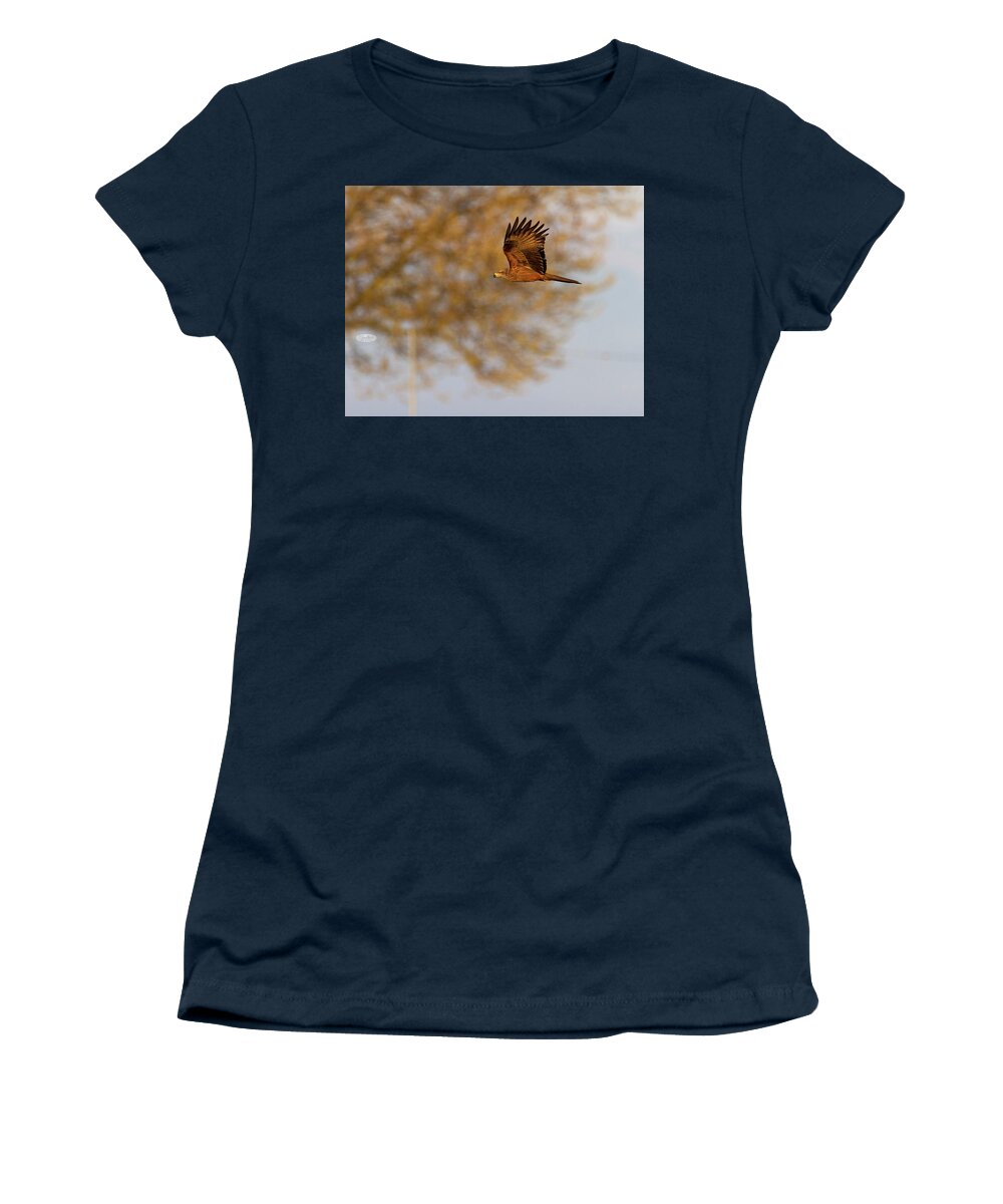 Bird Women's T-Shirt featuring the photograph Common female kestrel falcon, falco tinnunculus, flying by Elenarts - Elena Duvernay photo