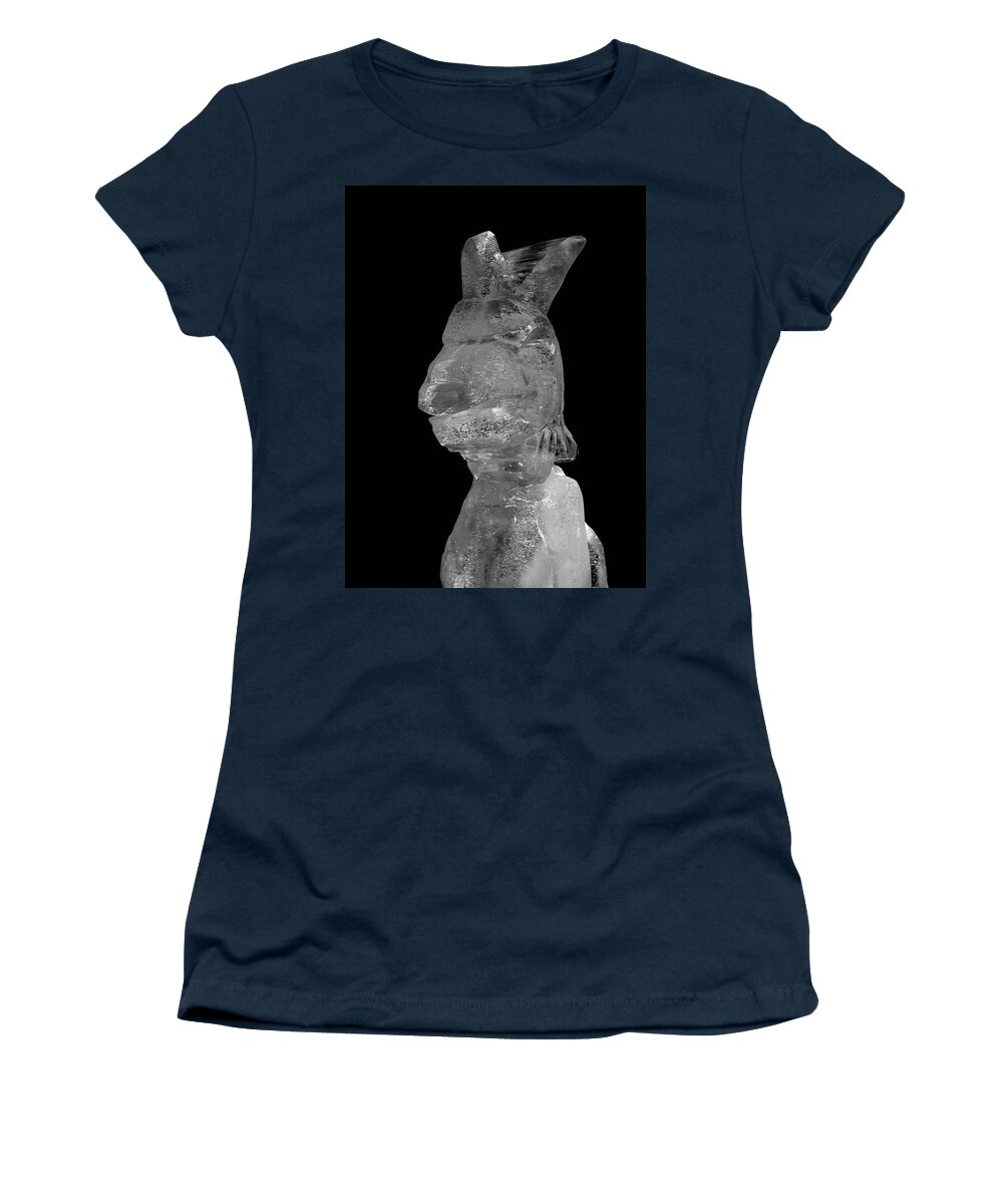 Finland Women's T-Shirt featuring the photograph Cool Rabbit by Jouko Lehto