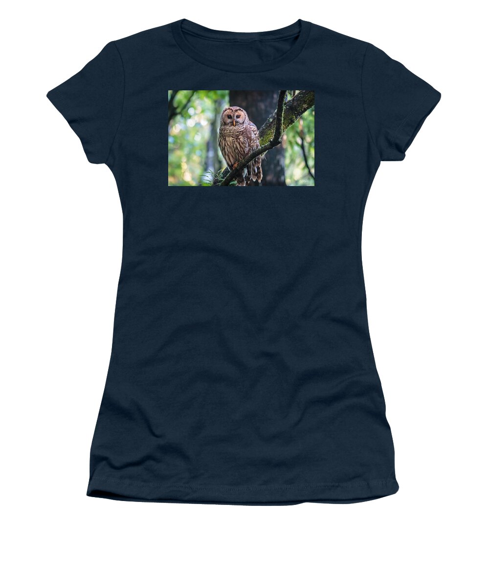 Florida Women's T-Shirt featuring the photograph Corkscrew Swamp Sanctuary - Barred Owl Overlooking the Sanctuary by Ronald Reid