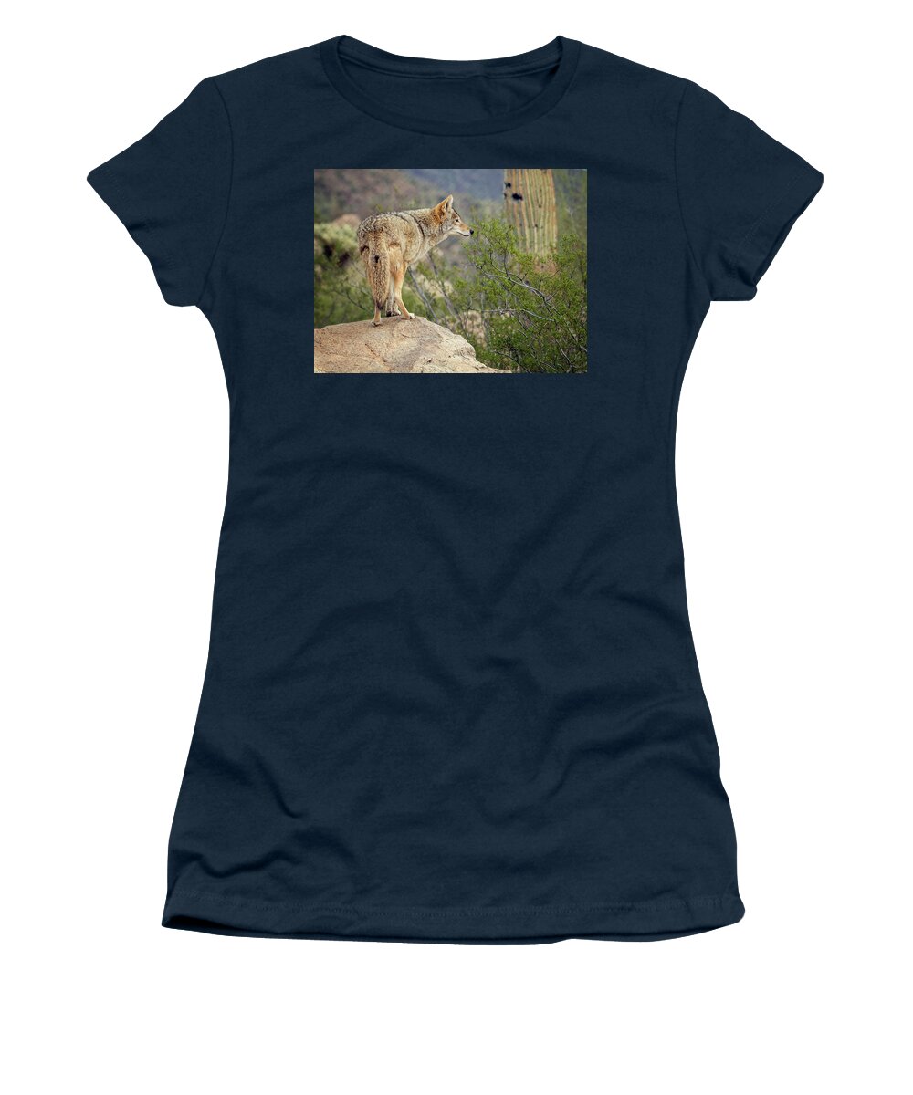 Coyote Women's T-Shirt featuring the photograph Coyote by Tam Ryan