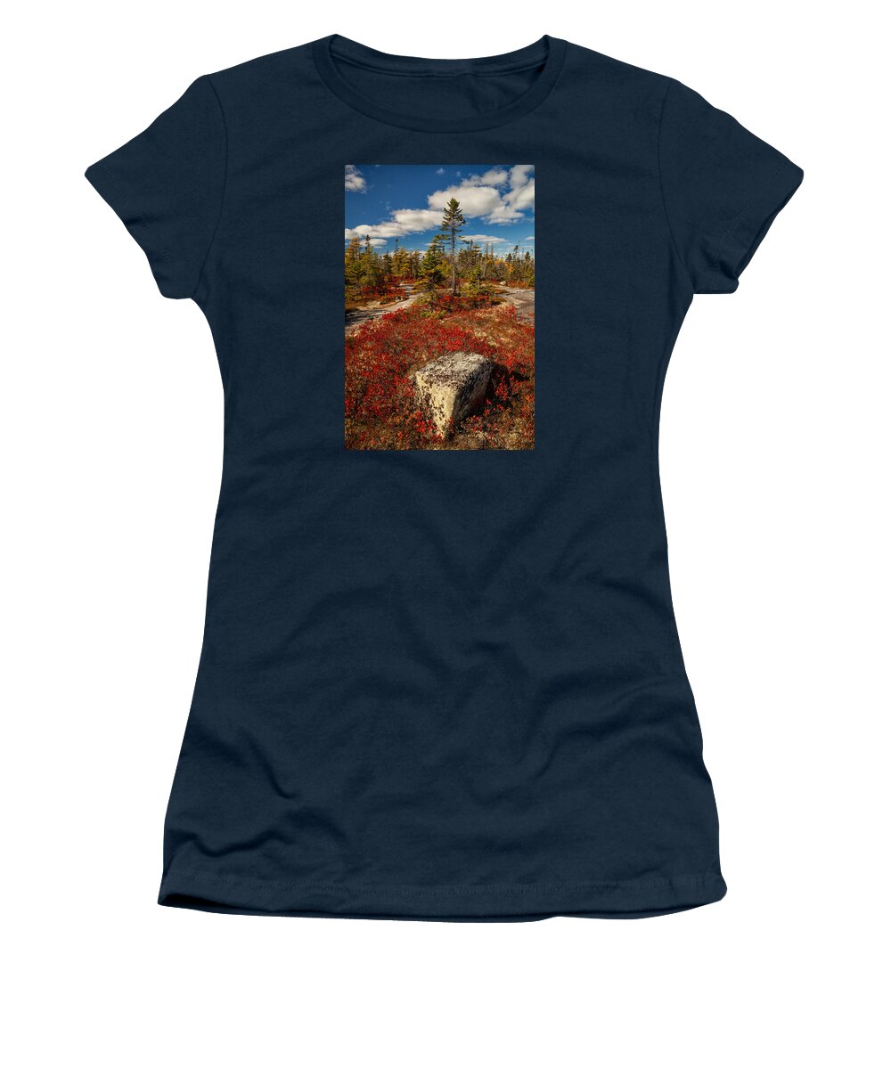 Autumn Women's T-Shirt featuring the photograph Crimson Autumn Barren by Irwin Barrett