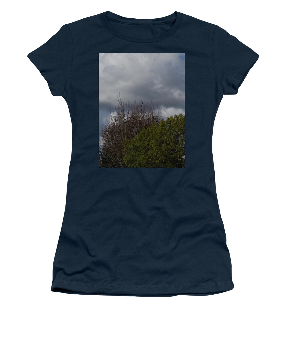  Women's T-Shirt featuring the photograph Cumulus 19 and Trees by Richard Thomas