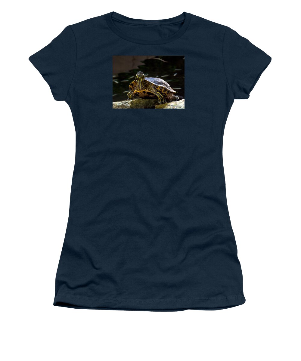 Cheryl Baxter Photography Women's T-Shirt featuring the photograph Curious Turtle by Cheryl Baxter