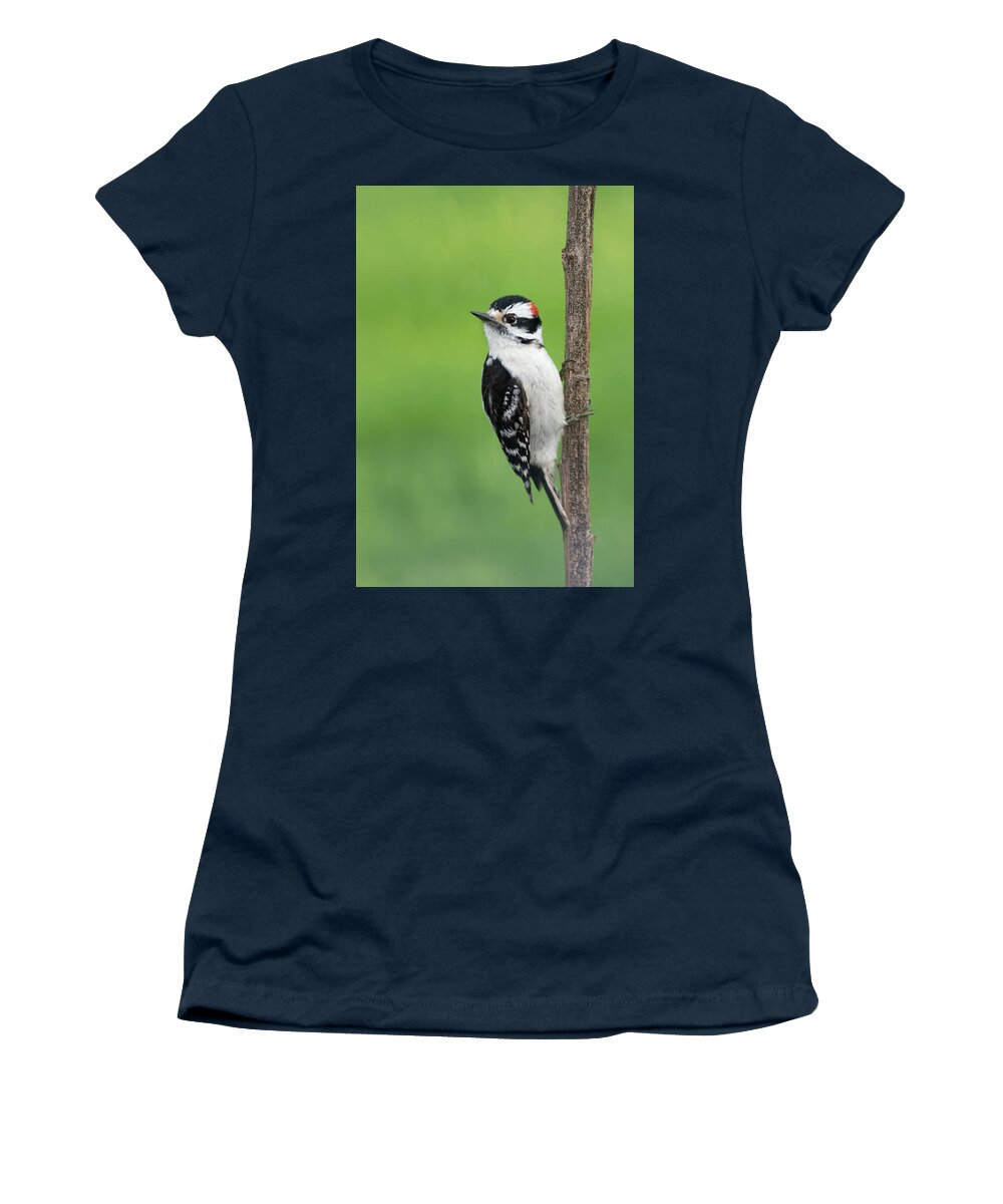 Downy Women's T-Shirt featuring the photograph Cute and Ornery by Jim Zablotny