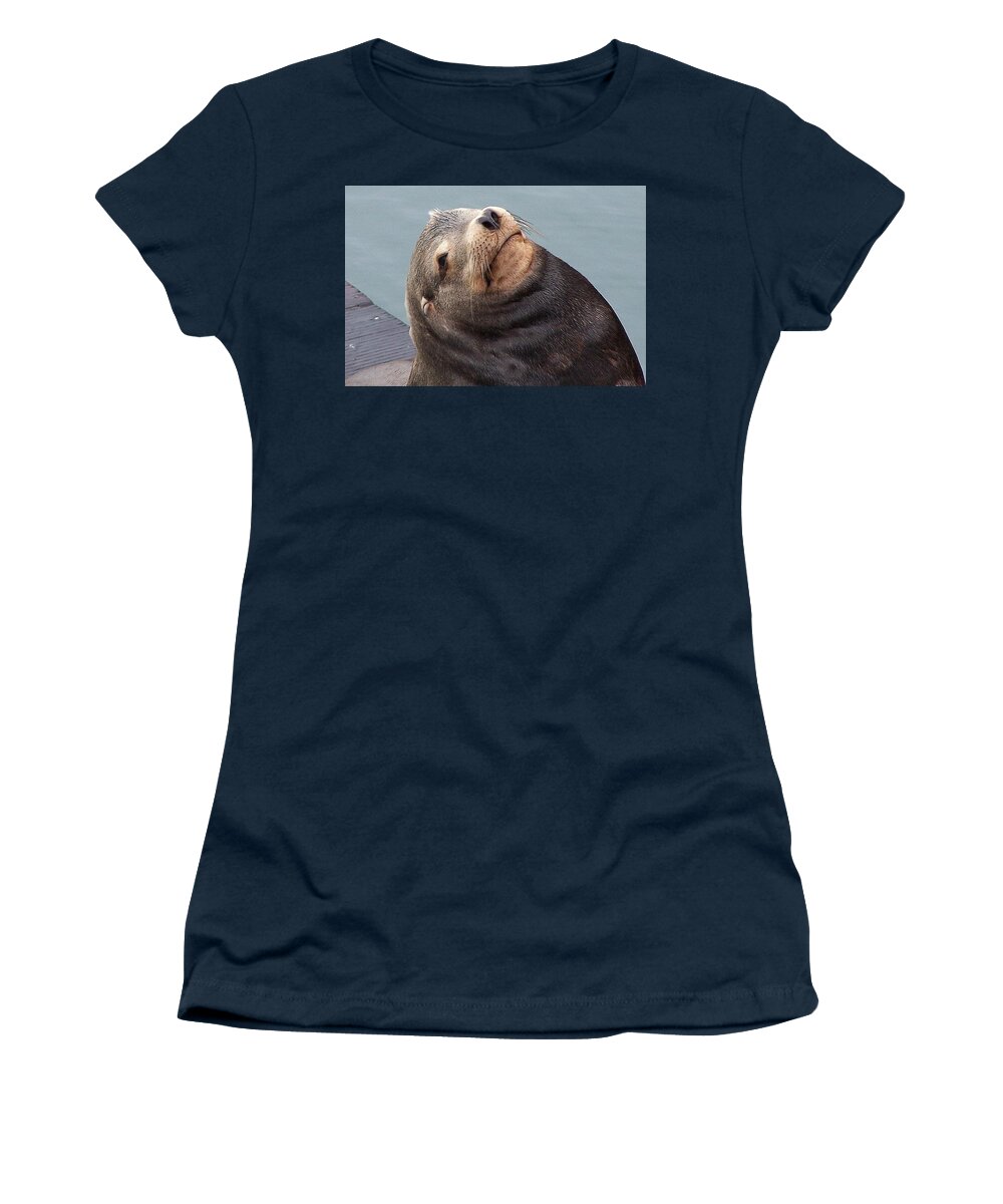 Seal Women's T-Shirt featuring the photograph Cutie Photograph by Kimberly Walker