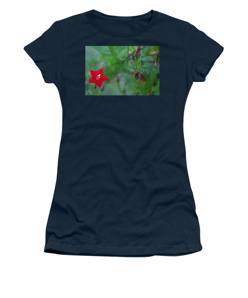 Photograph Women's T-Shirt featuring the photograph Cypress Vine Bloom and Seed Pods by M E