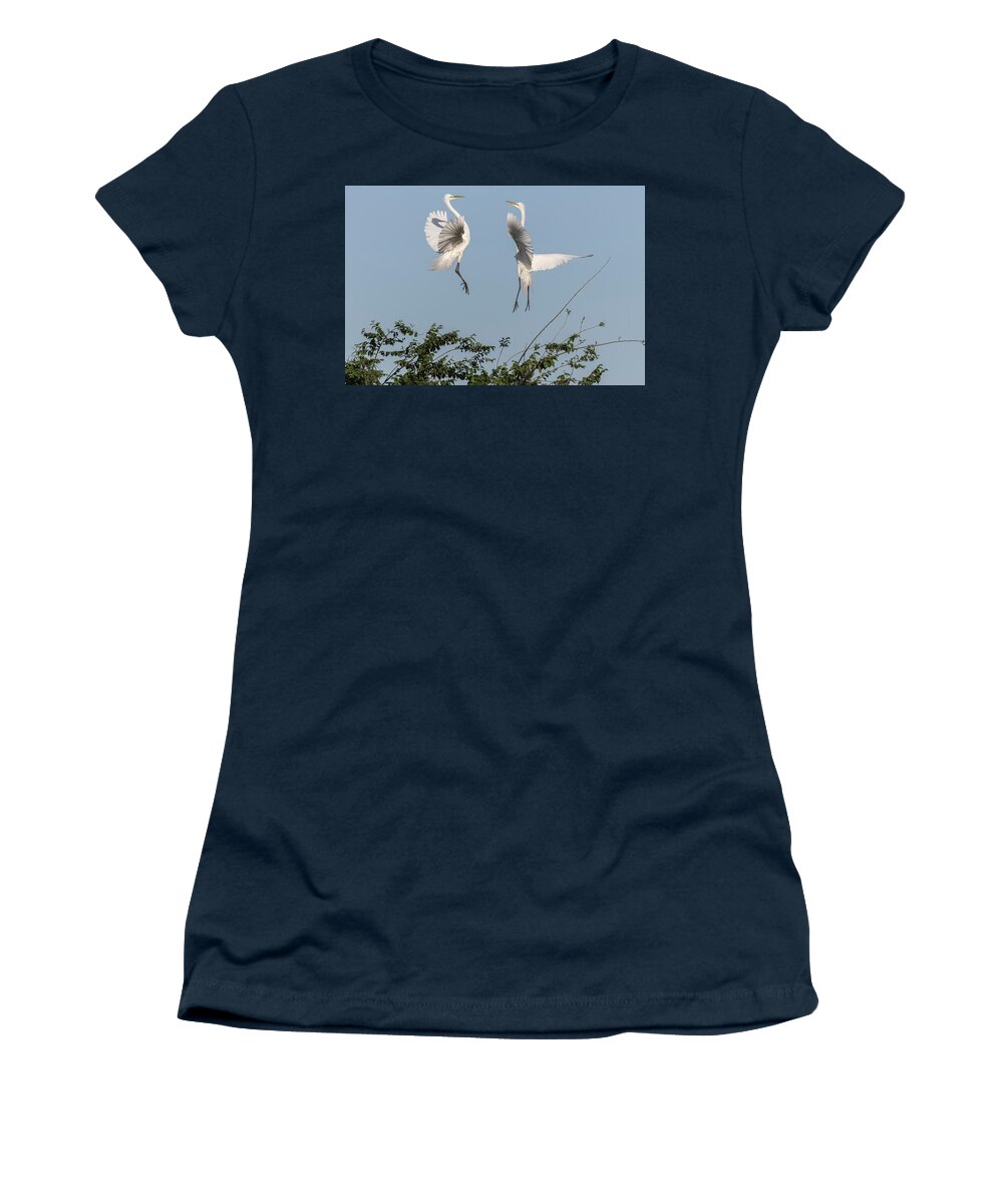 Great Egrets Women's T-Shirt featuring the photograph Dancing Egrets 2017-1 by Thomas Young