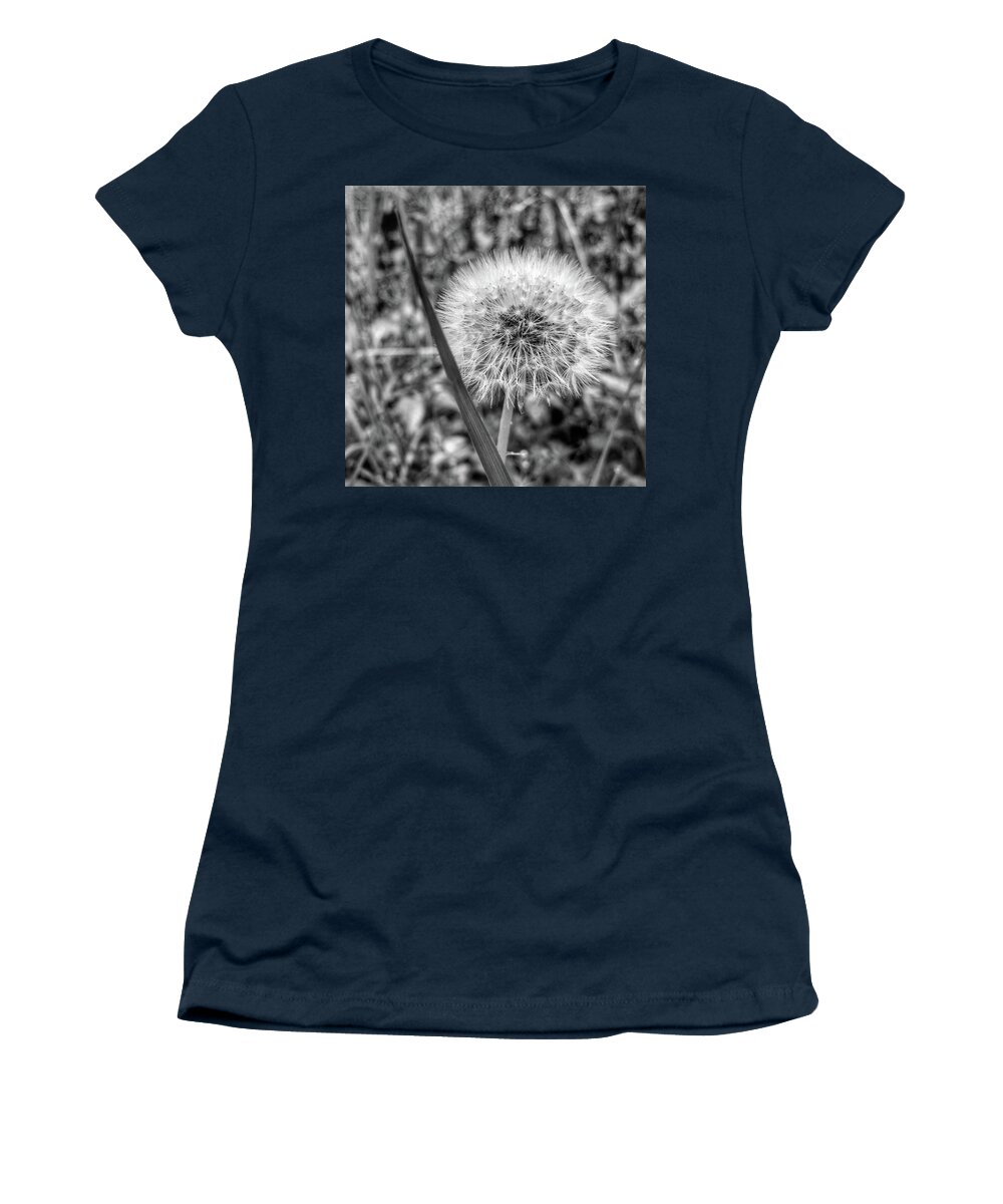 Weed Women's T-Shirt featuring the photograph Dandelion by Al Harden
