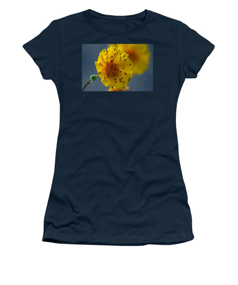 Superbloom 2016 Women's T-Shirt featuring the photograph Death Valley Superbloom 102 by Daniel Woodrum
