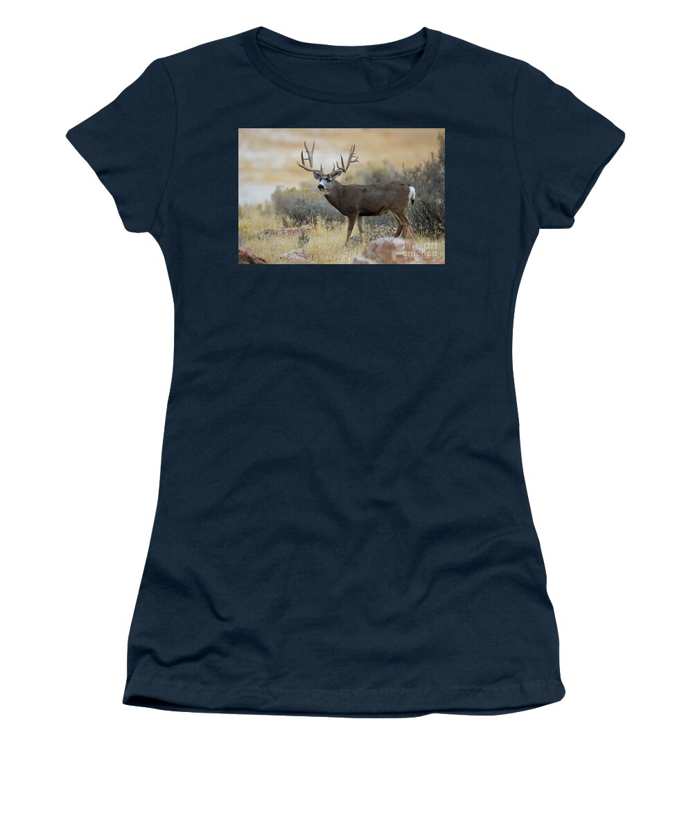 Mule Deer Women's T-Shirt featuring the photograph Desert Beast by Douglas Kikendall