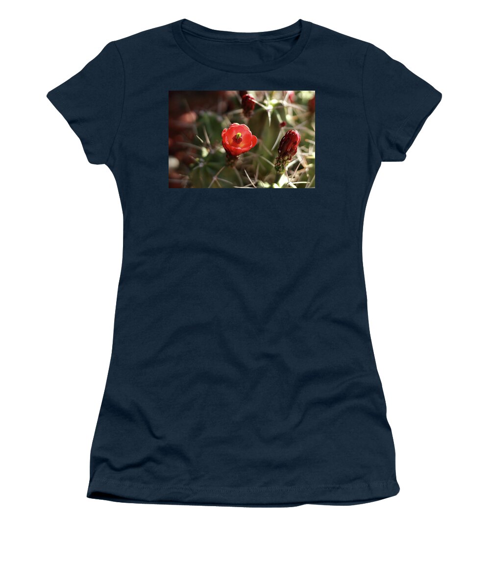 Cactus Women's T-Shirt featuring the photograph Desert Rose by David Diaz
