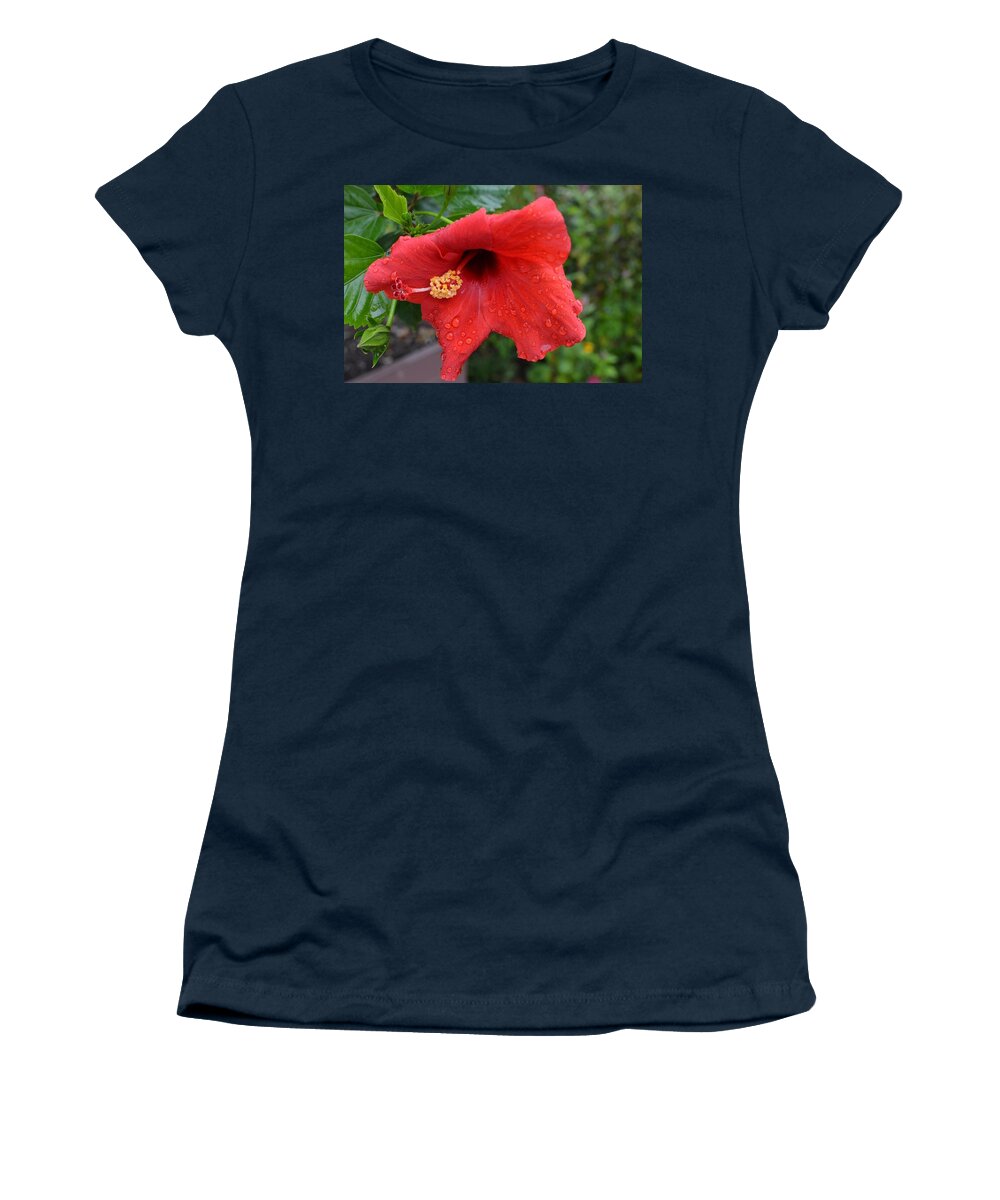 Flowers Women's T-Shirt featuring the photograph Dew on flower by Charles HALL