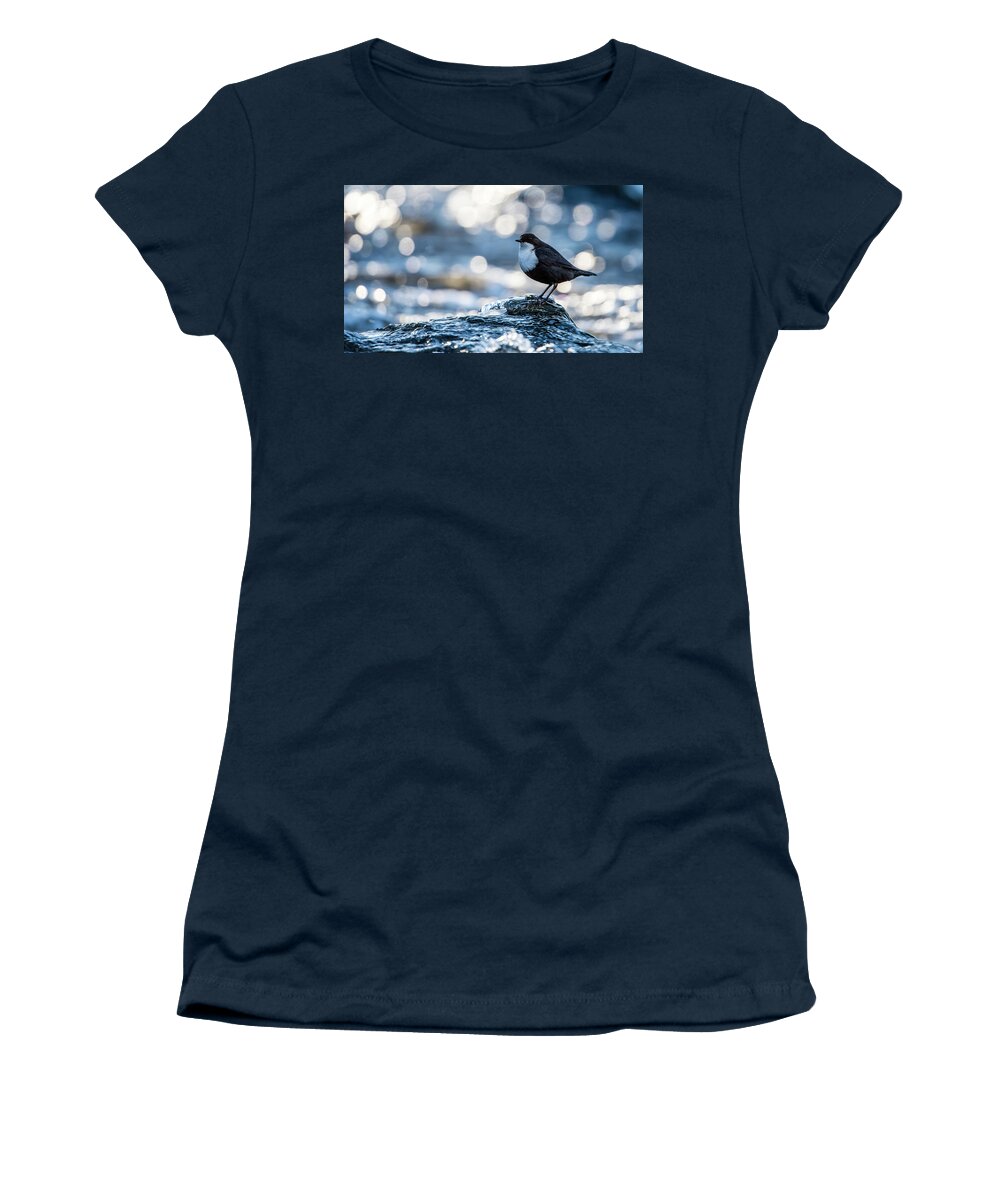 Dipper On Ice Women's T-Shirt featuring the photograph Dipper on Ice by Torbjorn Swenelius