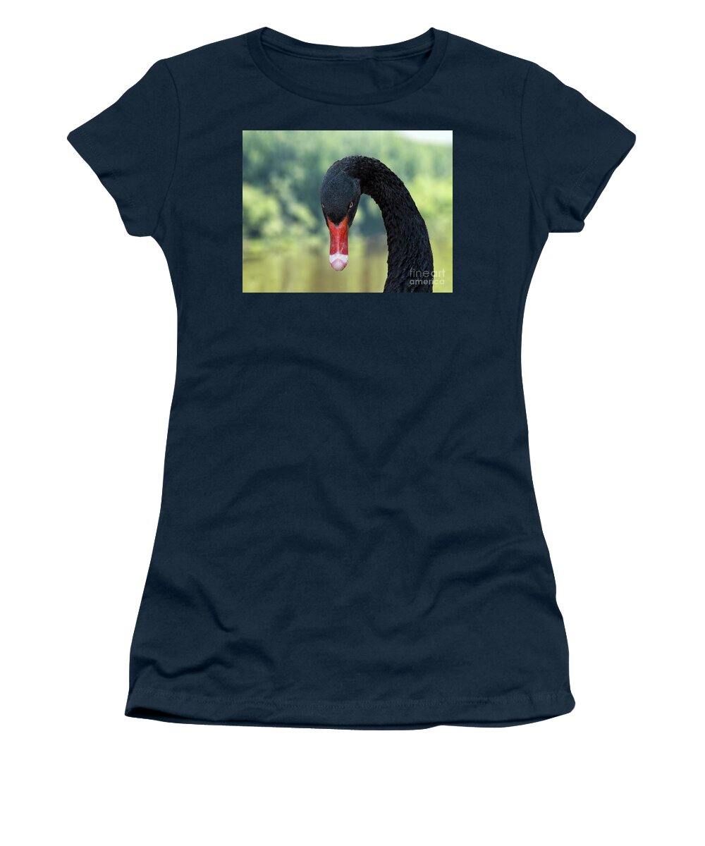 Black Swan Women's T-Shirt featuring the photograph Do I Look Like I'm Kidding by Kathy Kelly