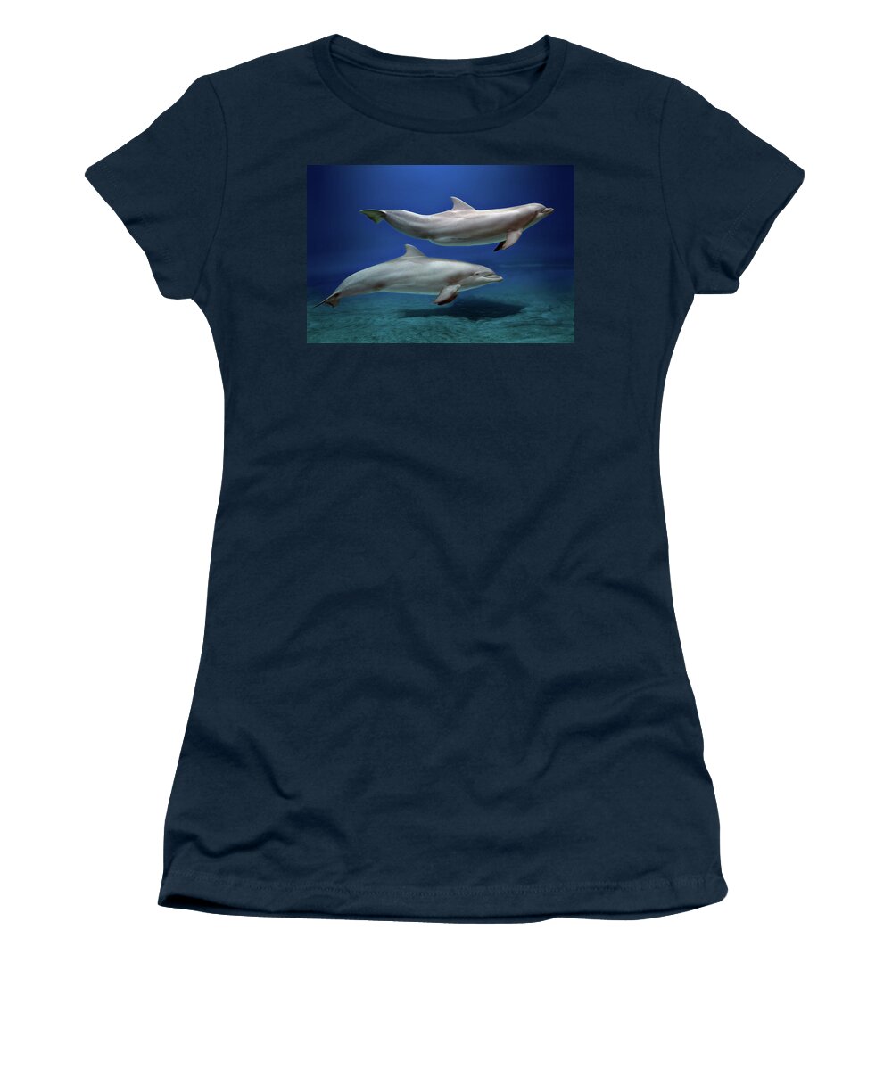 Dolphin Women's T-Shirt featuring the photograph Dolphins by Giovanni Allievi