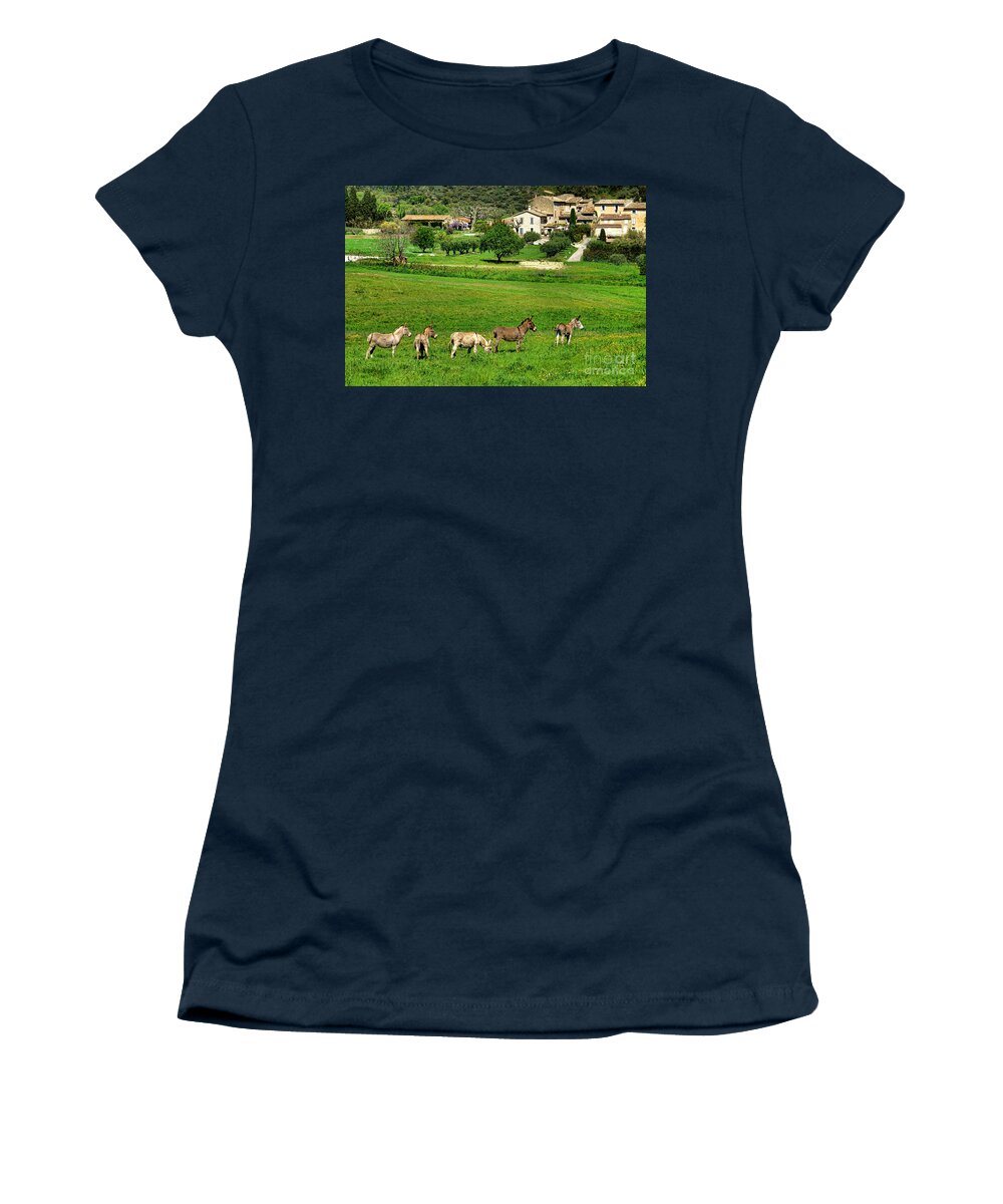 Provence Women's T-Shirt featuring the photograph Donkeys in Provence by Olivier Le Queinec