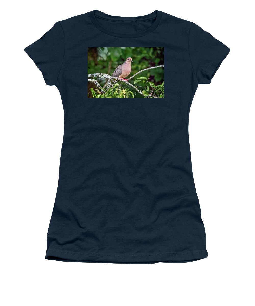 Wildlife Women's T-Shirt featuring the photograph Dove On A Branch by John Benedict