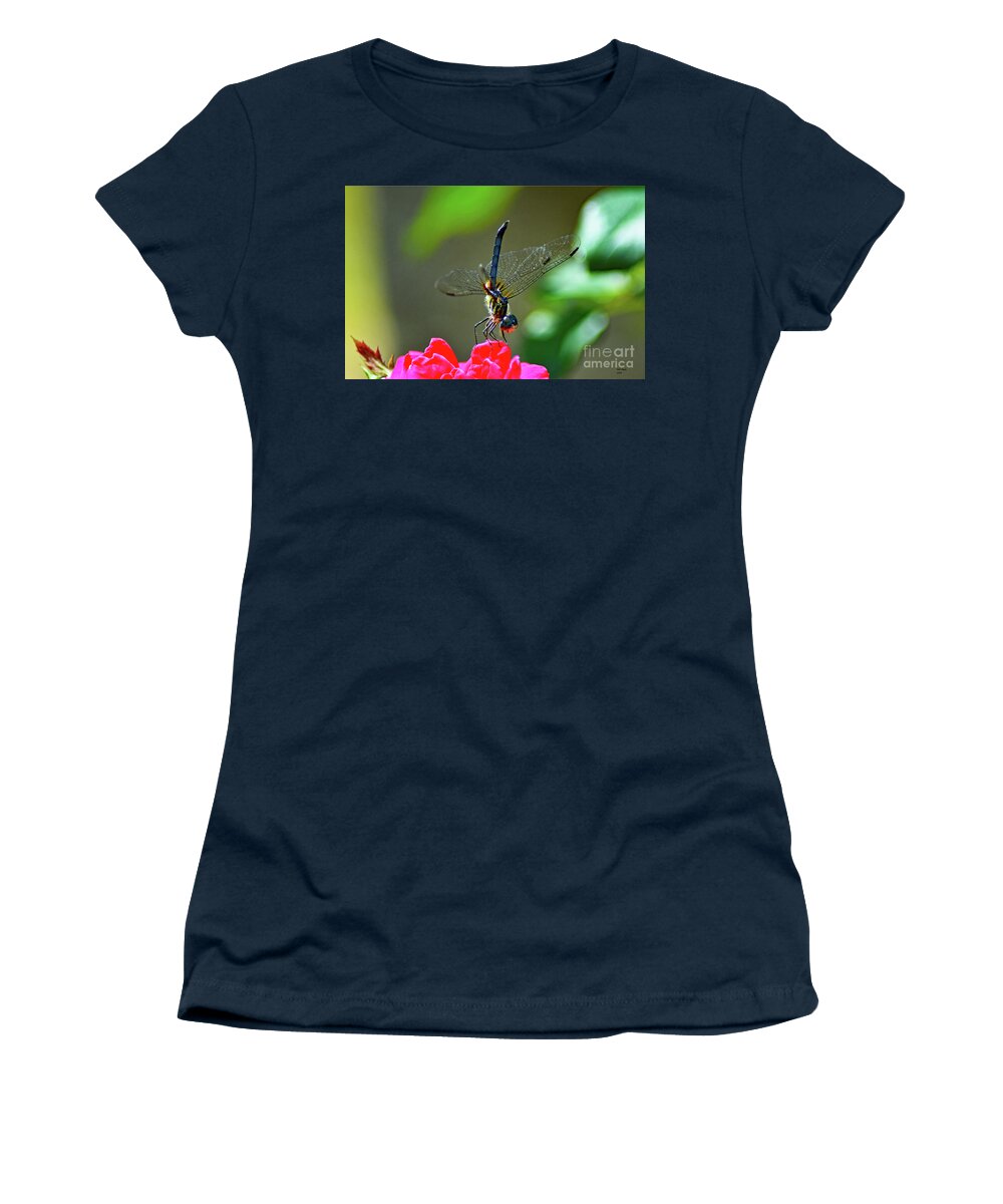 Nature Women's T-Shirt featuring the photograph Dragonfly On Rose by DB Hayes
